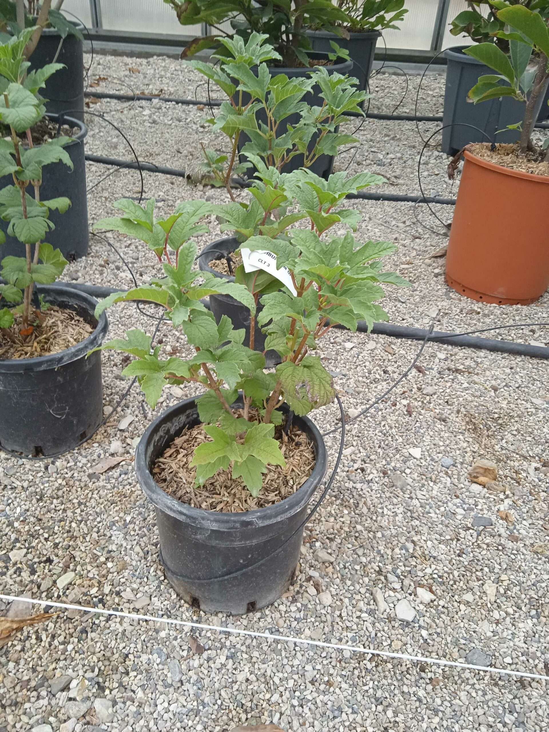 1662190136 scaled 11288ebd