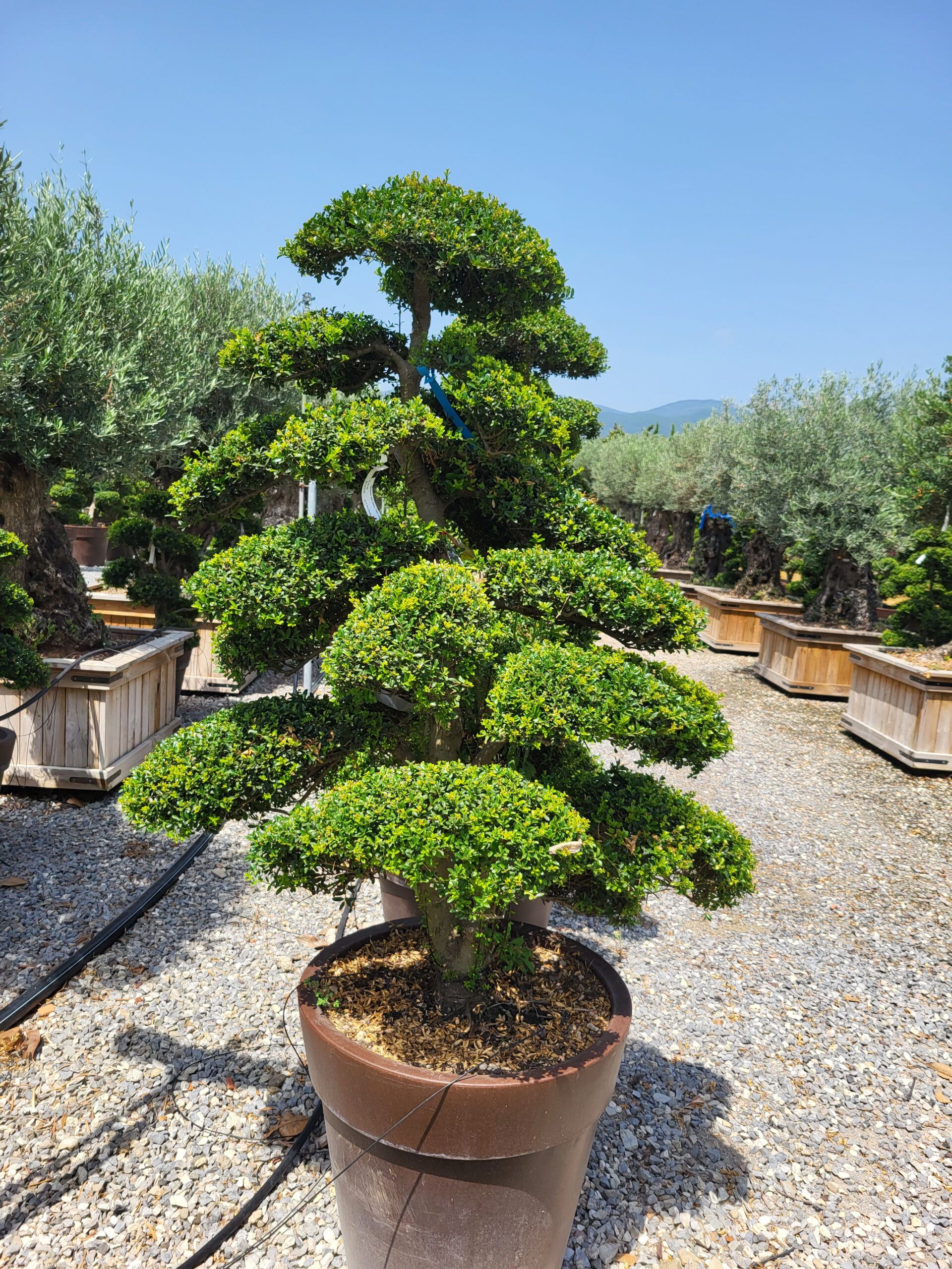 1689166030 scaled 112e334d