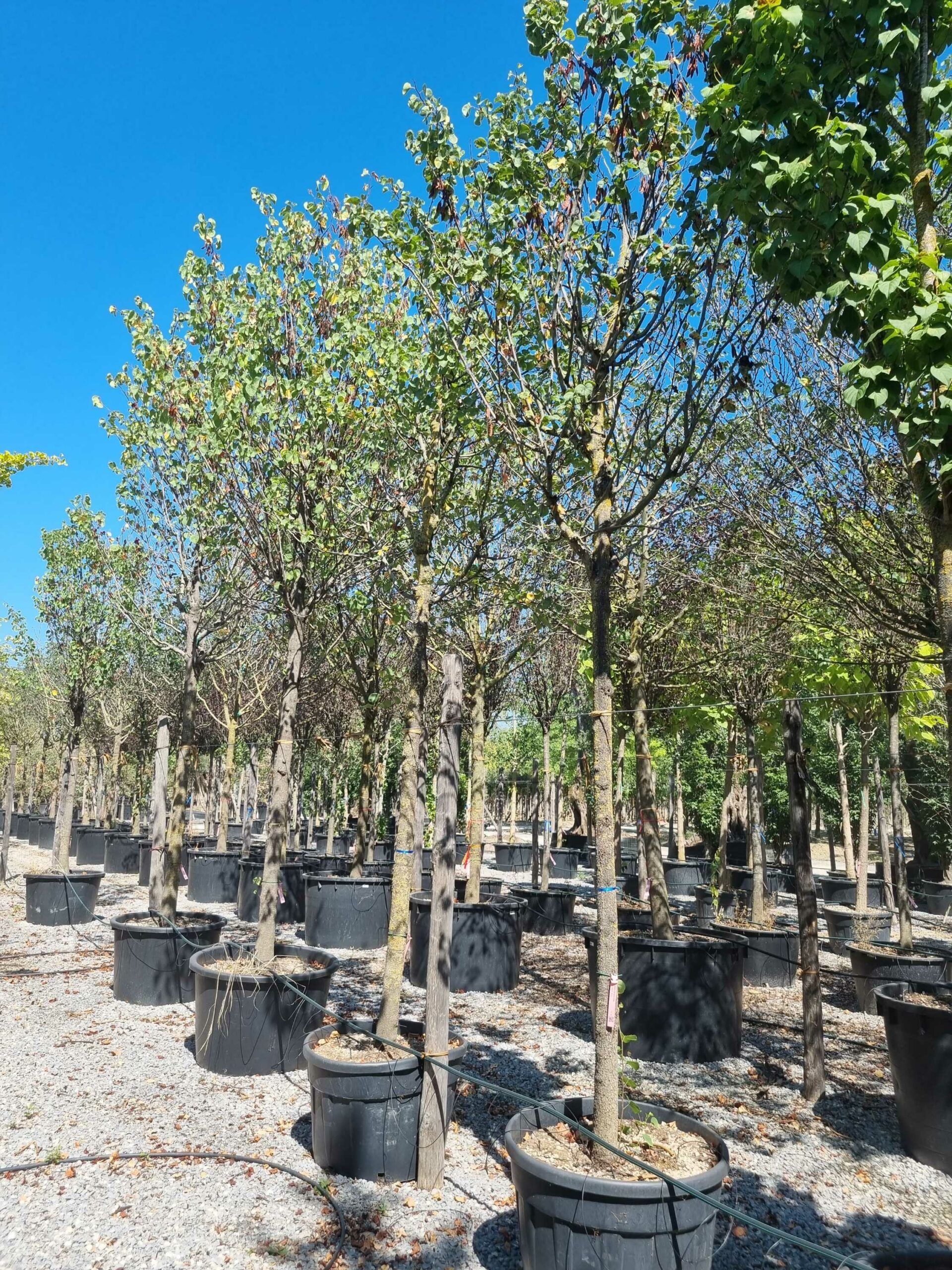 1692709697 scaled 1110f304