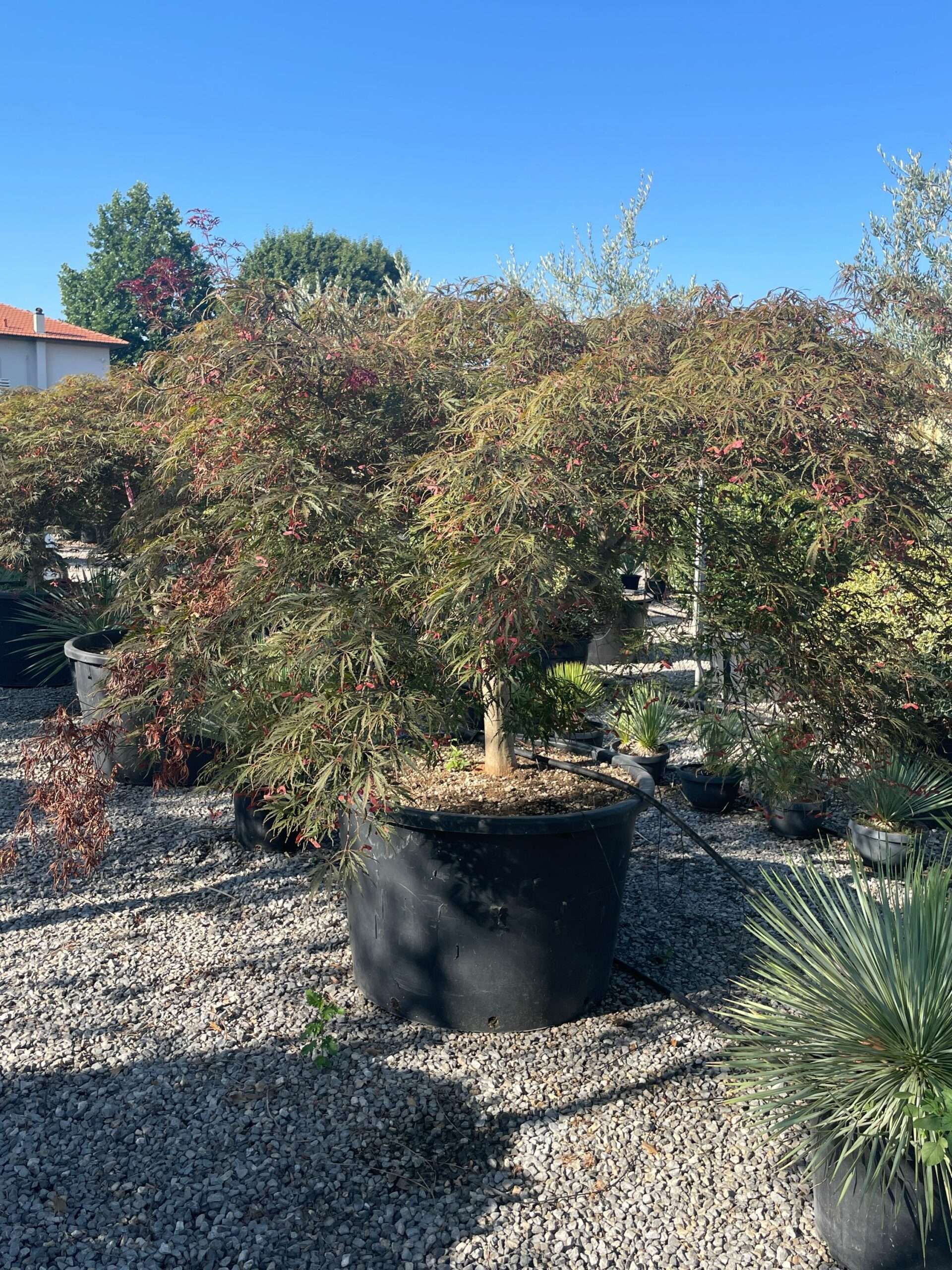 1692861401 scaled 11c0dd2e