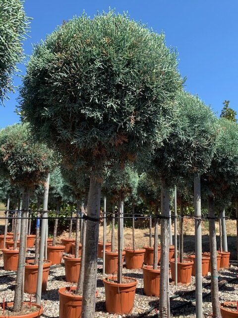 1603094107 rotated 12c38f26