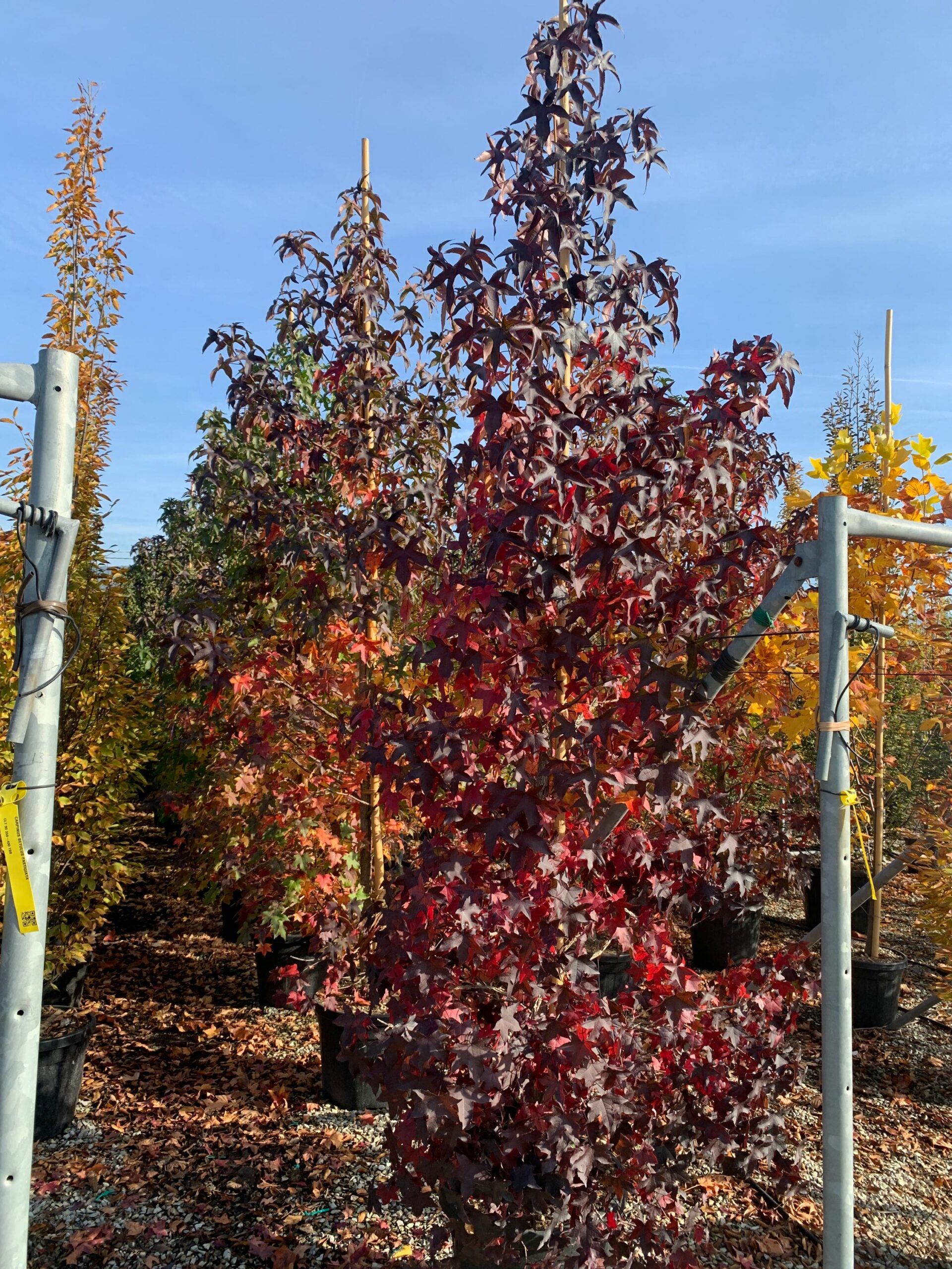 1635496227 scaled 128e2b03