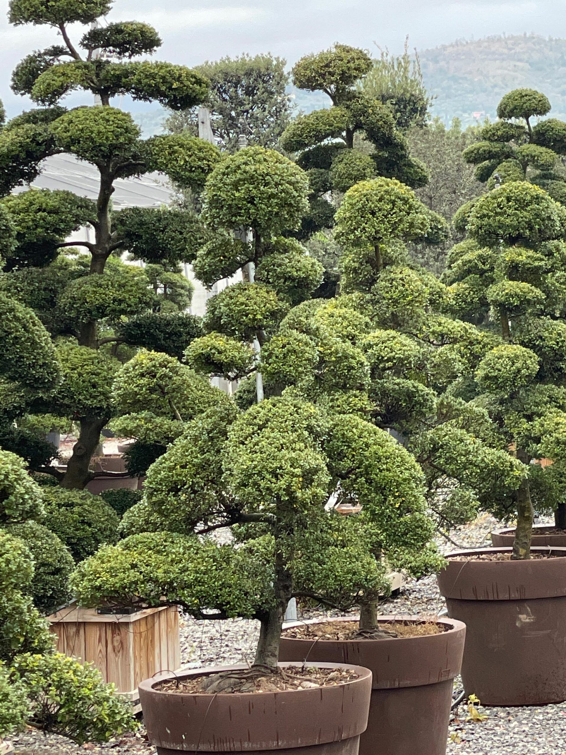 1637847557 scaled 12d0dee9