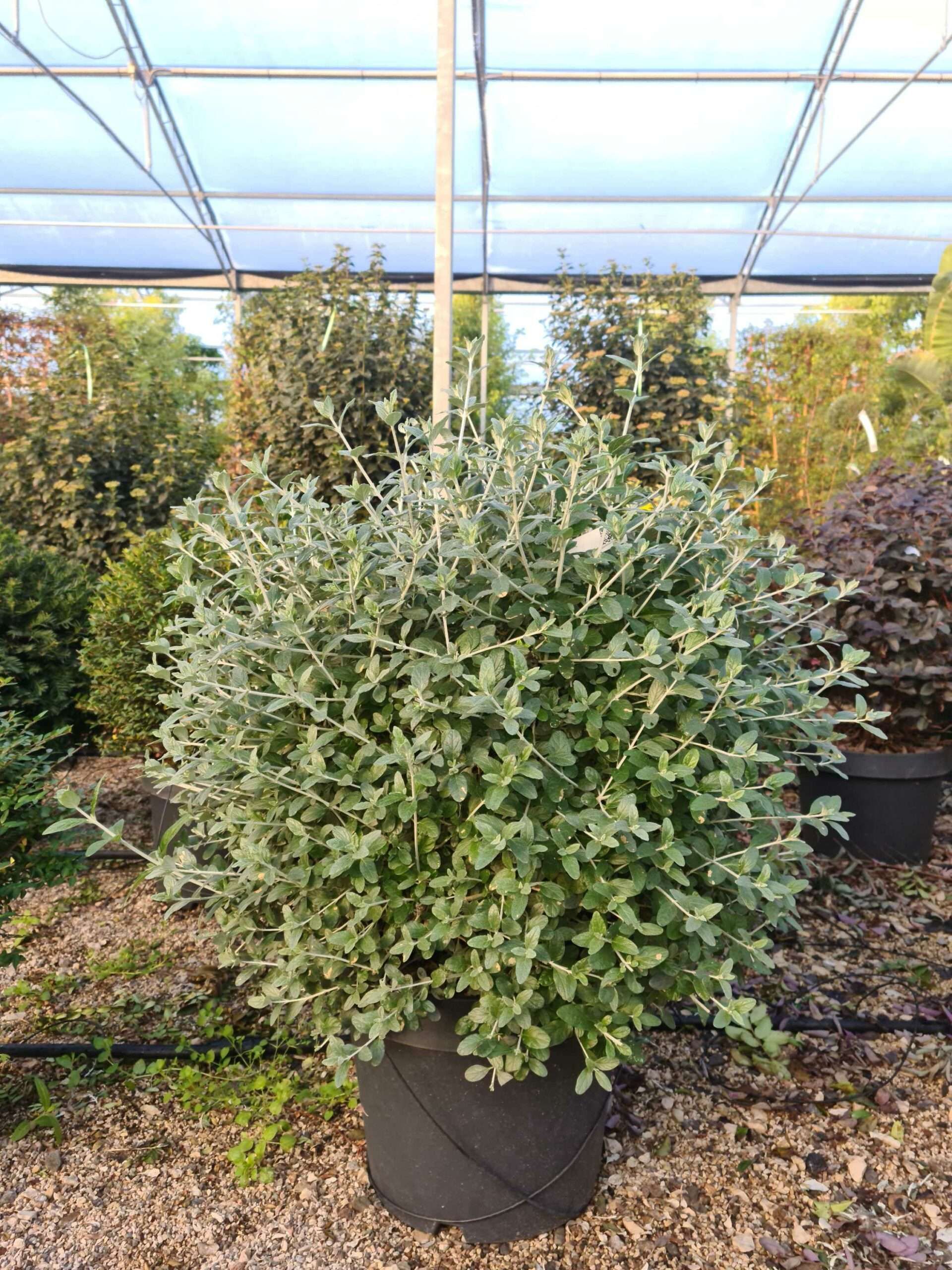 1639469358 scaled 128d450a