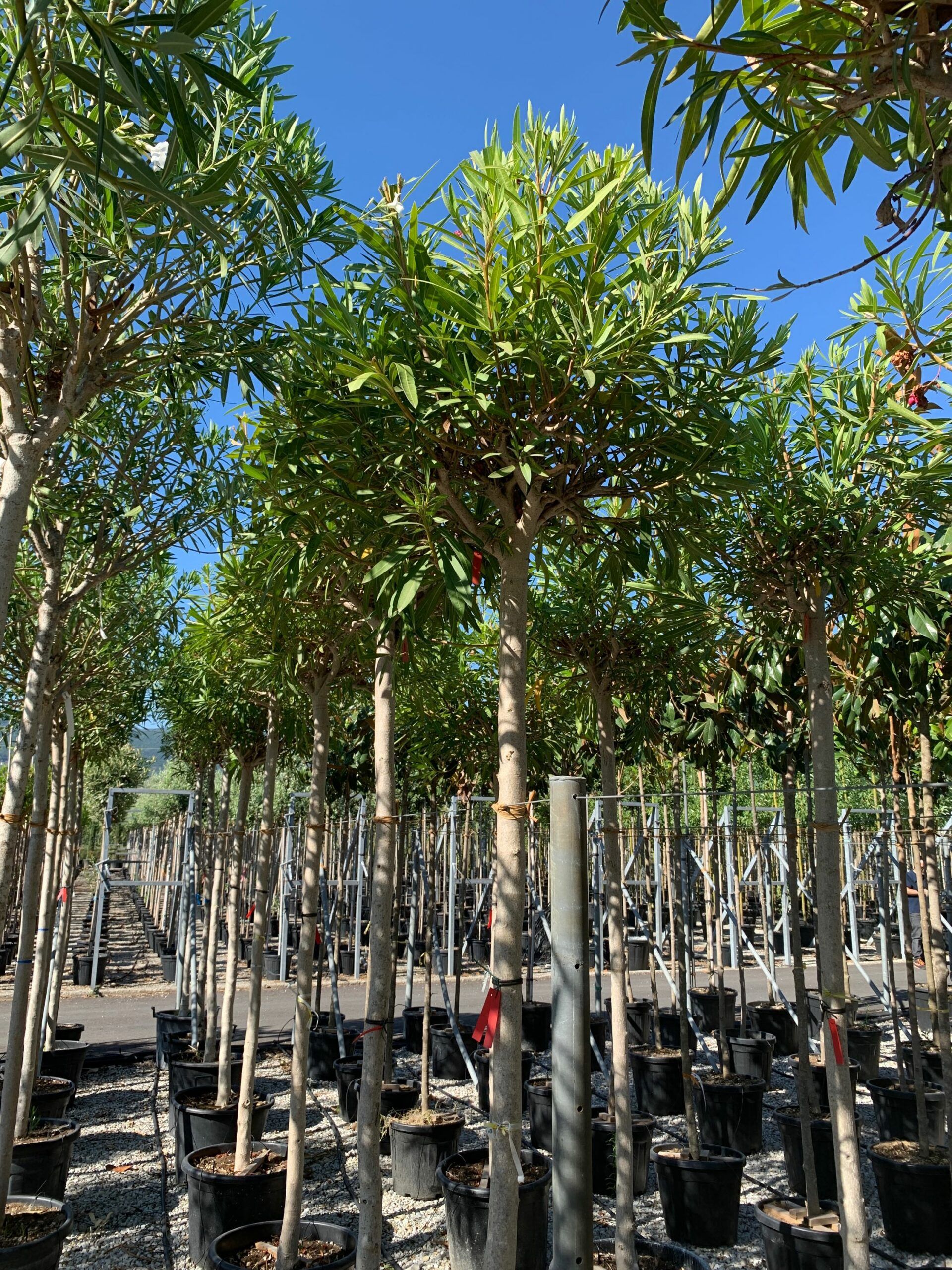 1657897872 scaled 12c5f4bb