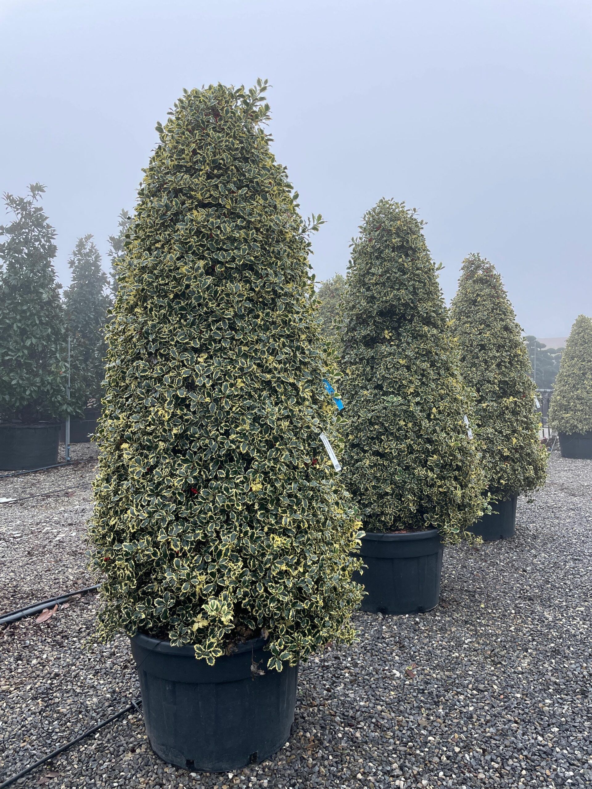 1669195671 scaled 12af4c5a