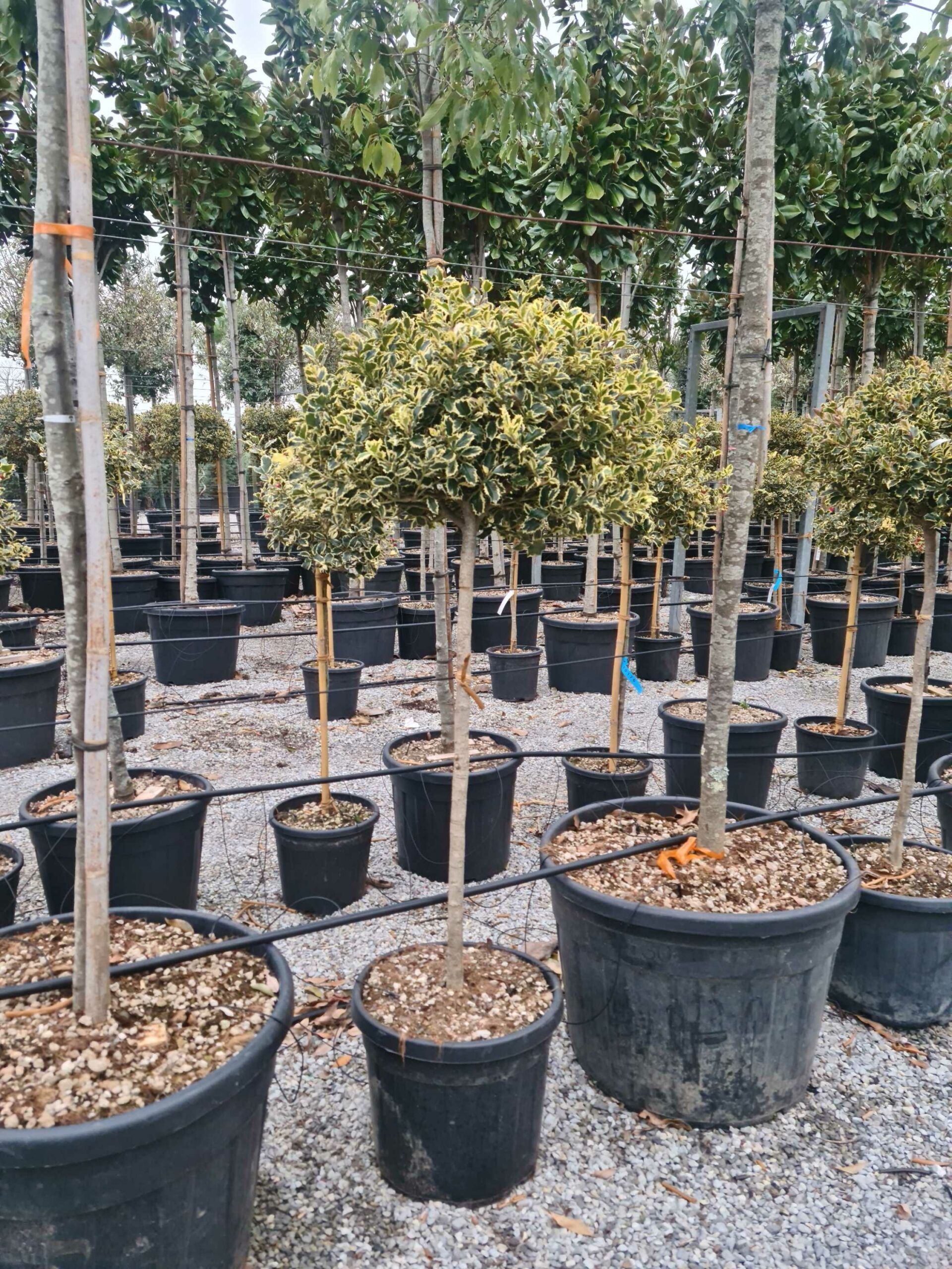 1676994720 scaled 12110a37