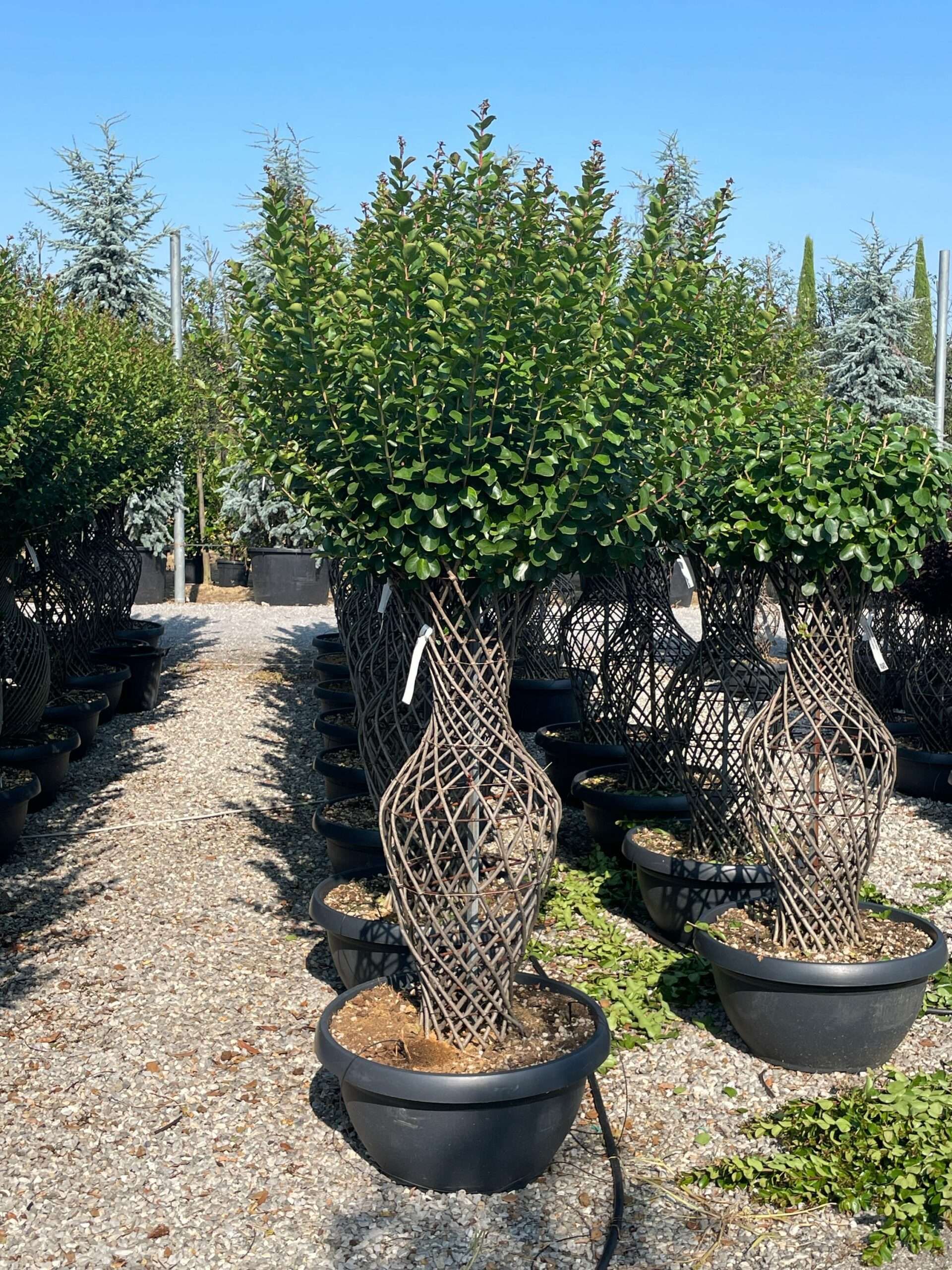 1687850580 scaled 12c90a59