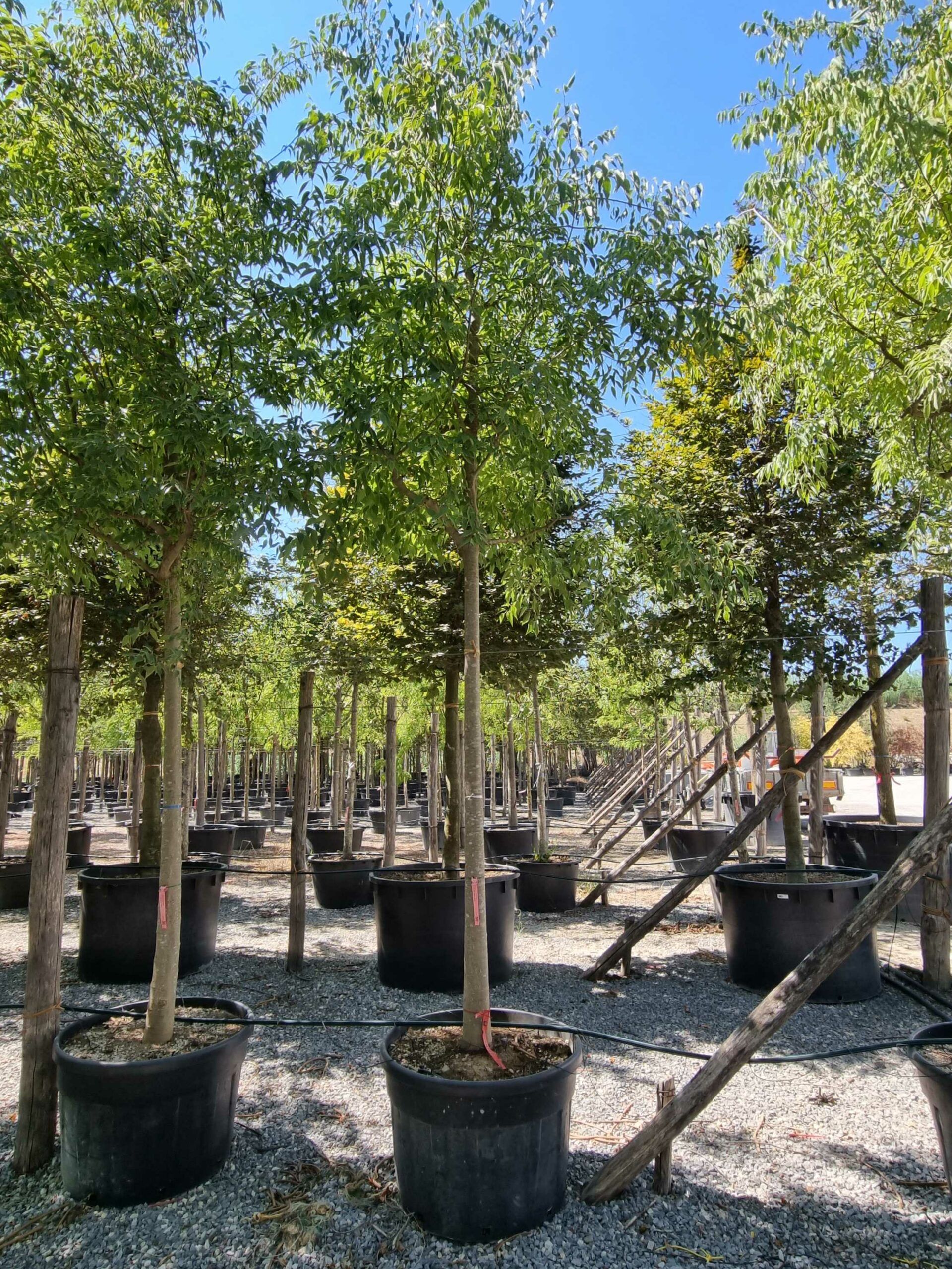 1692708721 scaled 12357d51