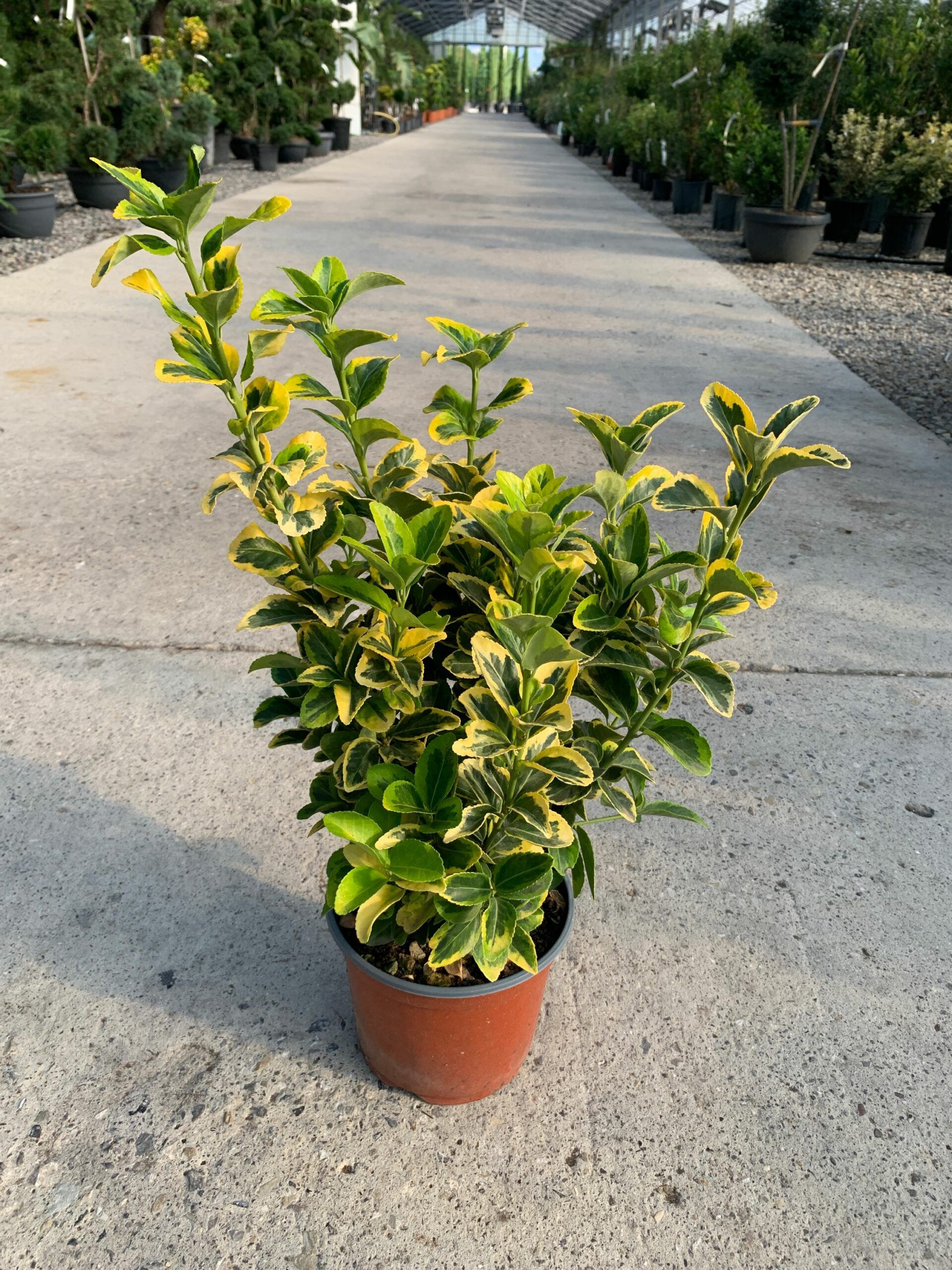 1632815107 scaled 13f1d143