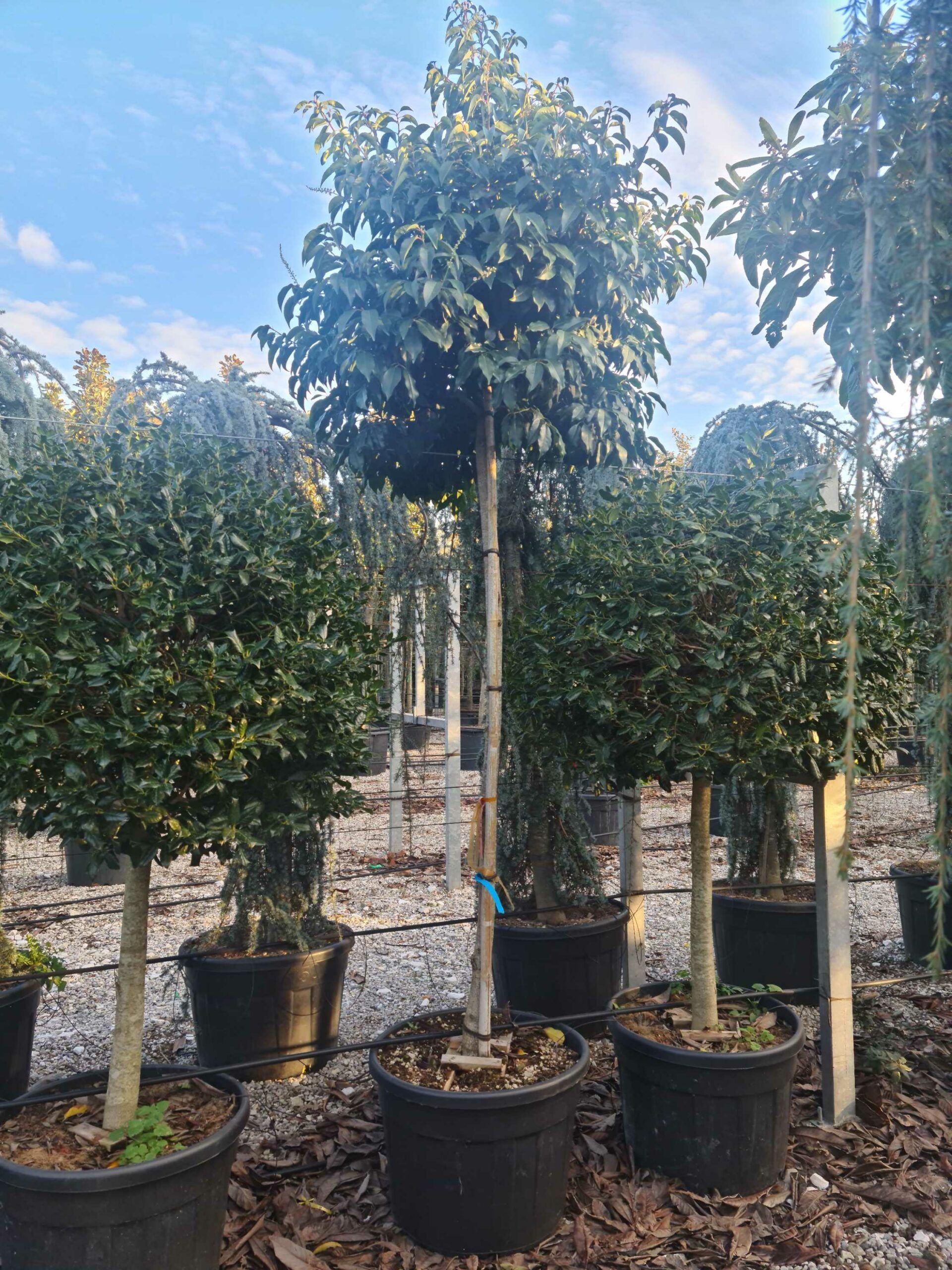 1639406032 scaled 13e9de51