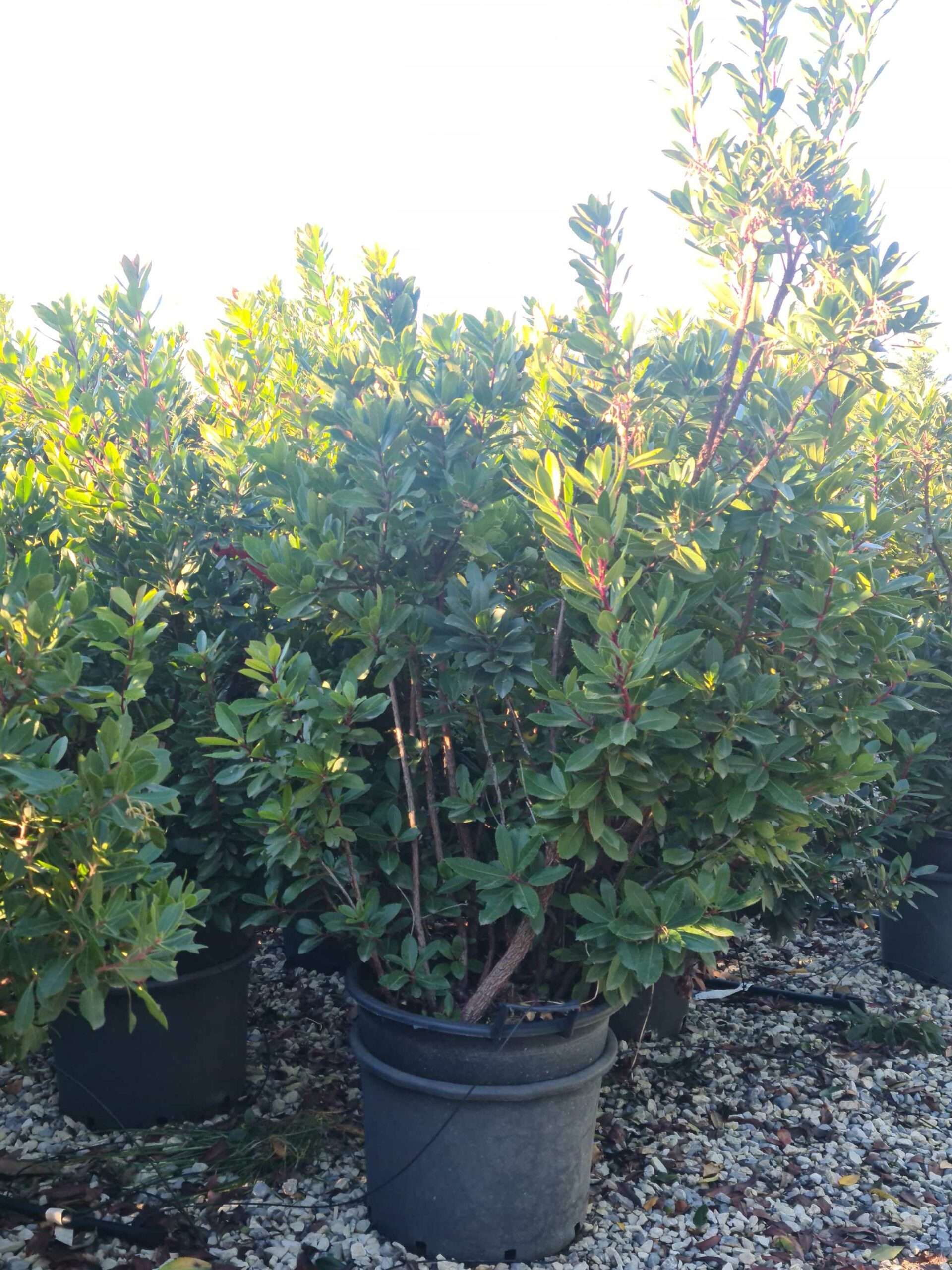 1639663208 scaled 13e52ac8