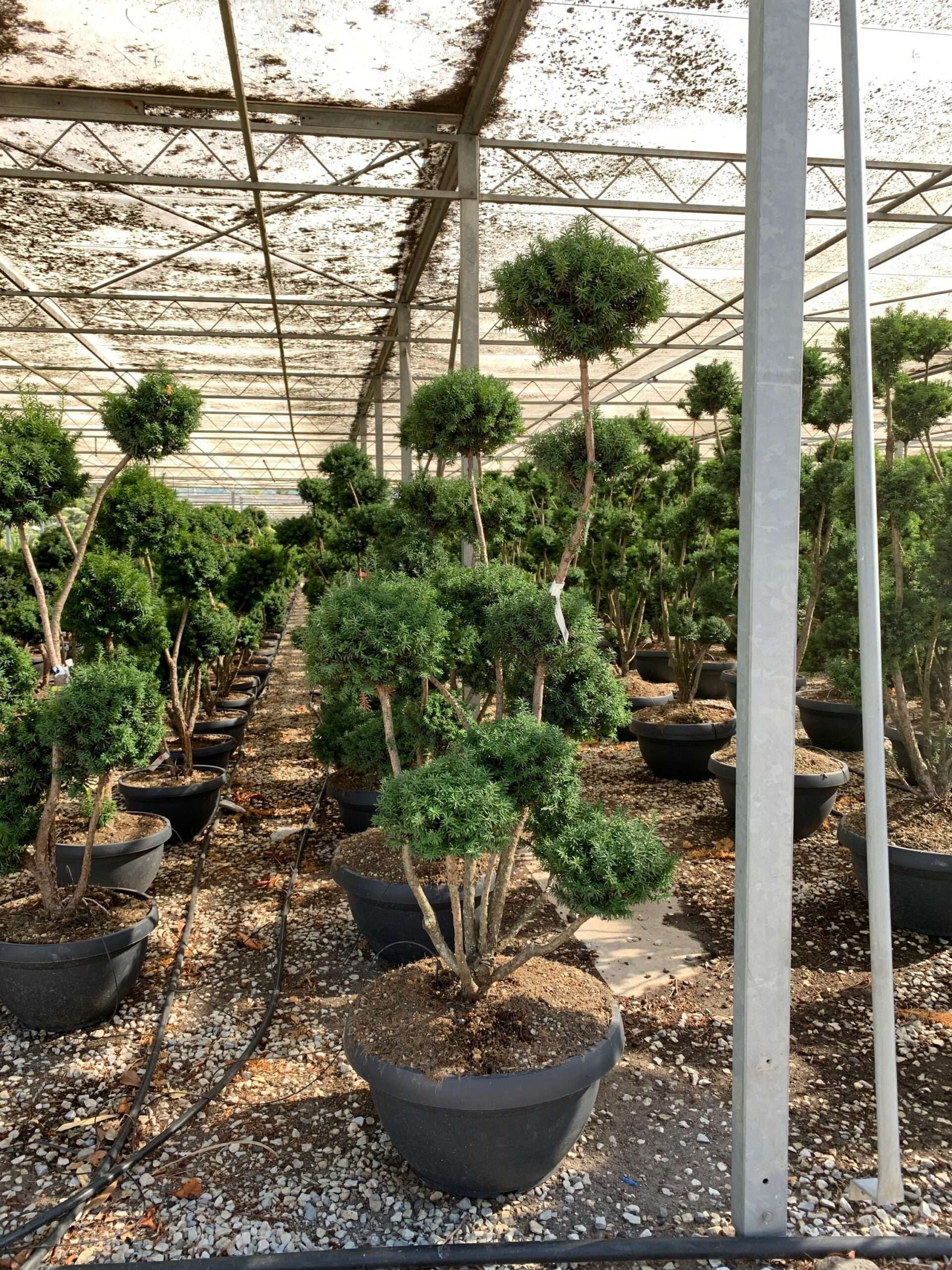 1657524309 scaled 13e6c1ad