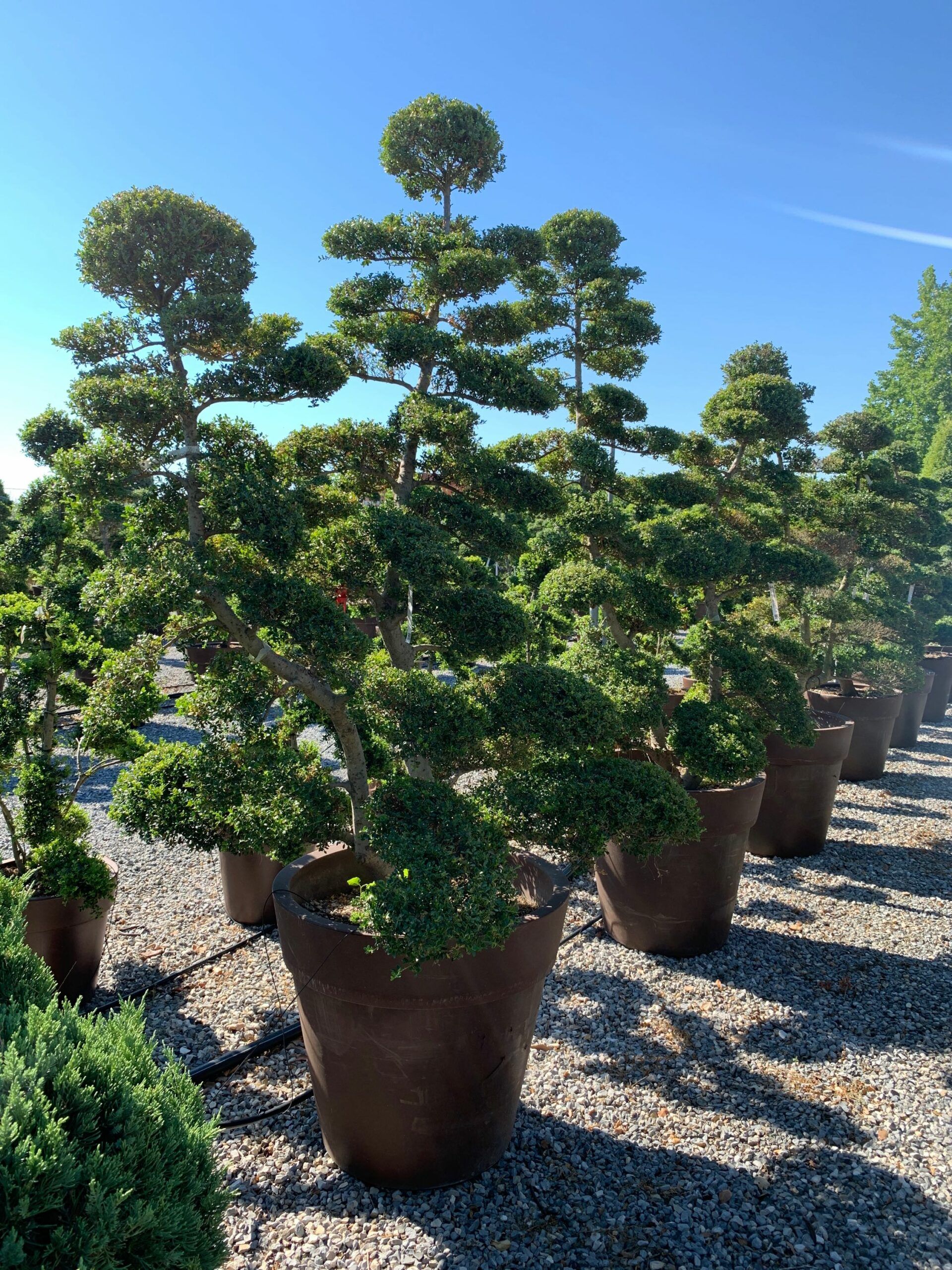 1659599718 scaled 13ea4d7c