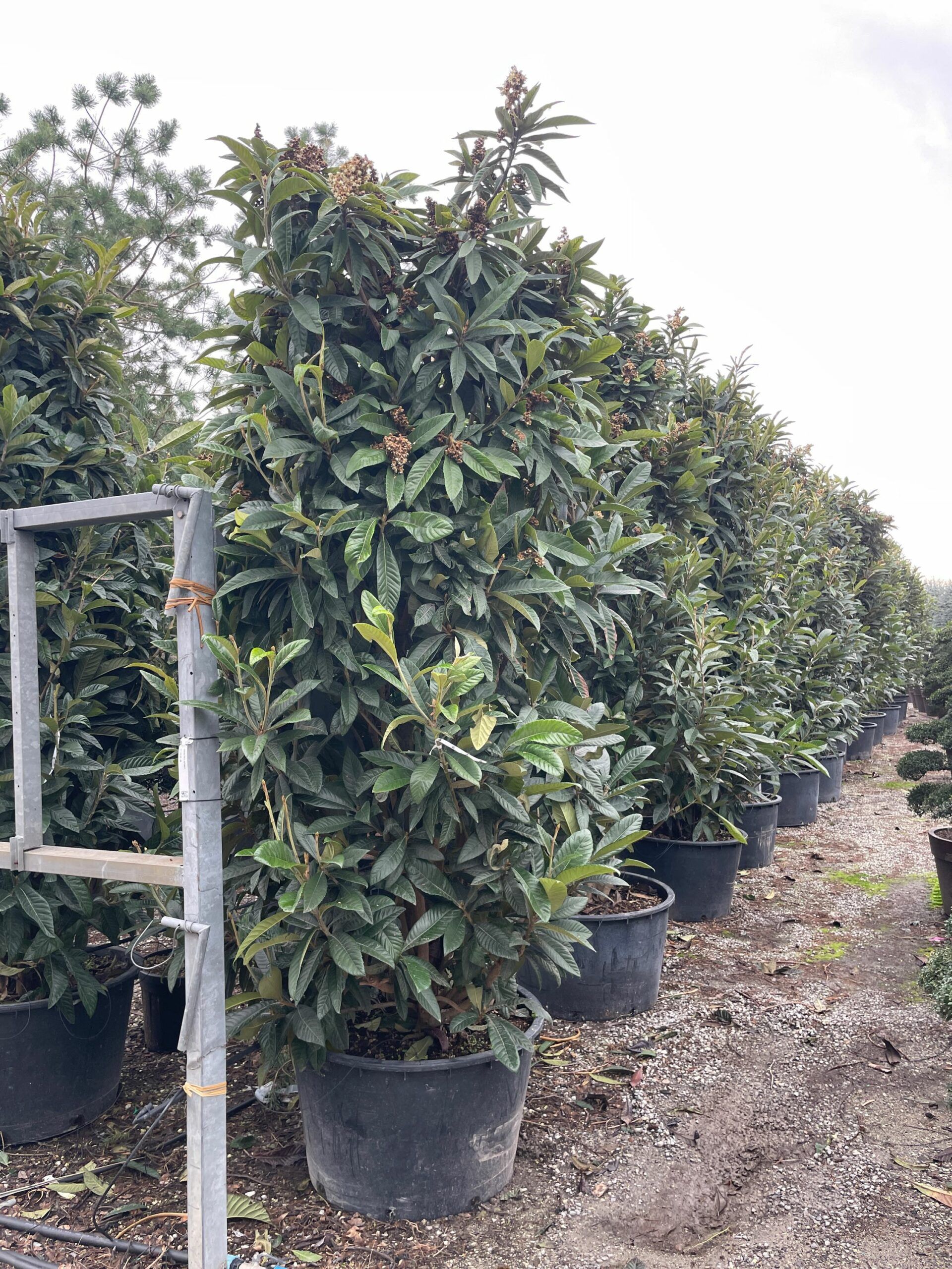 1671456708 scaled 130f6519