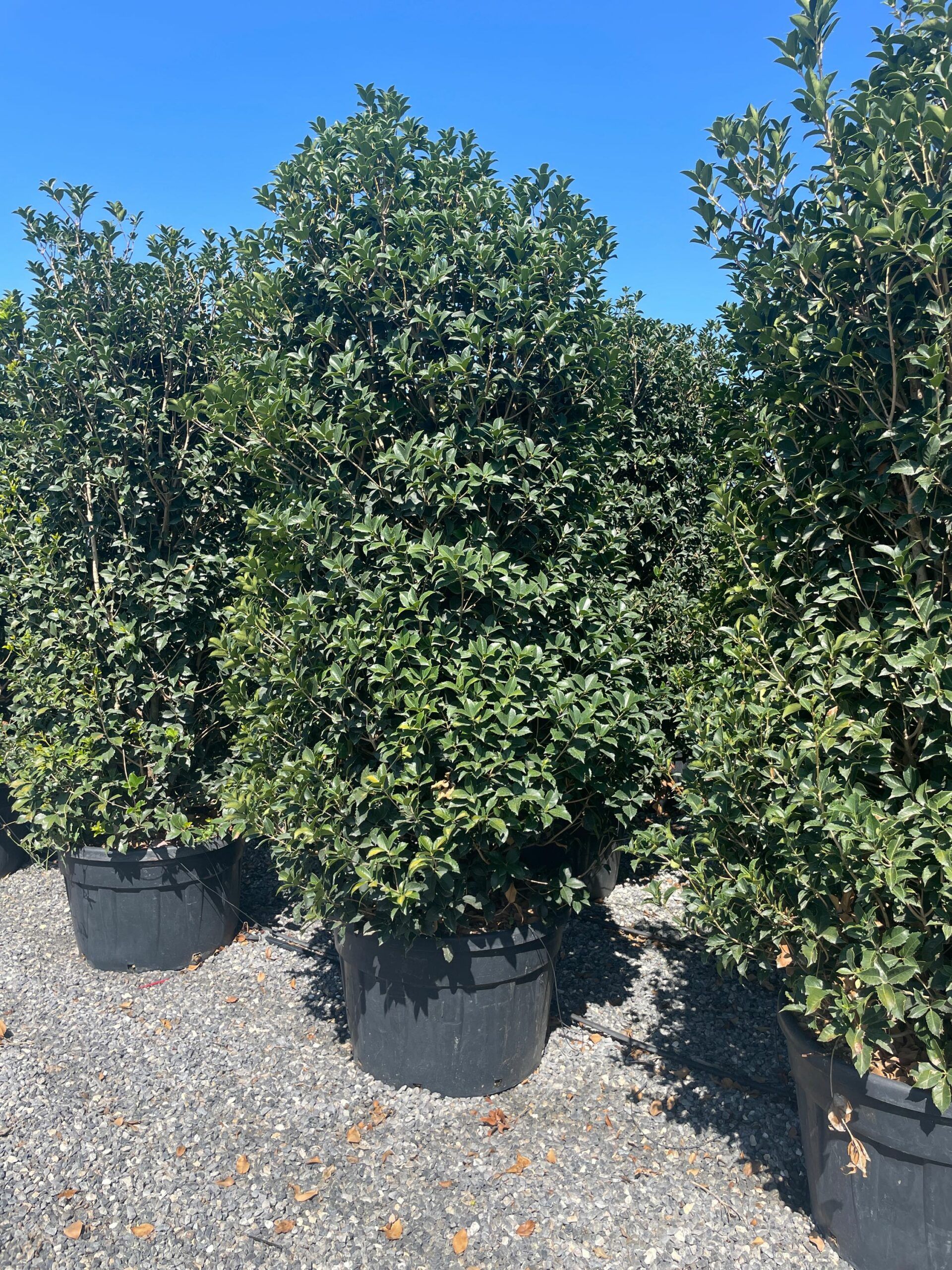 1694255307 scaled 13c116ee