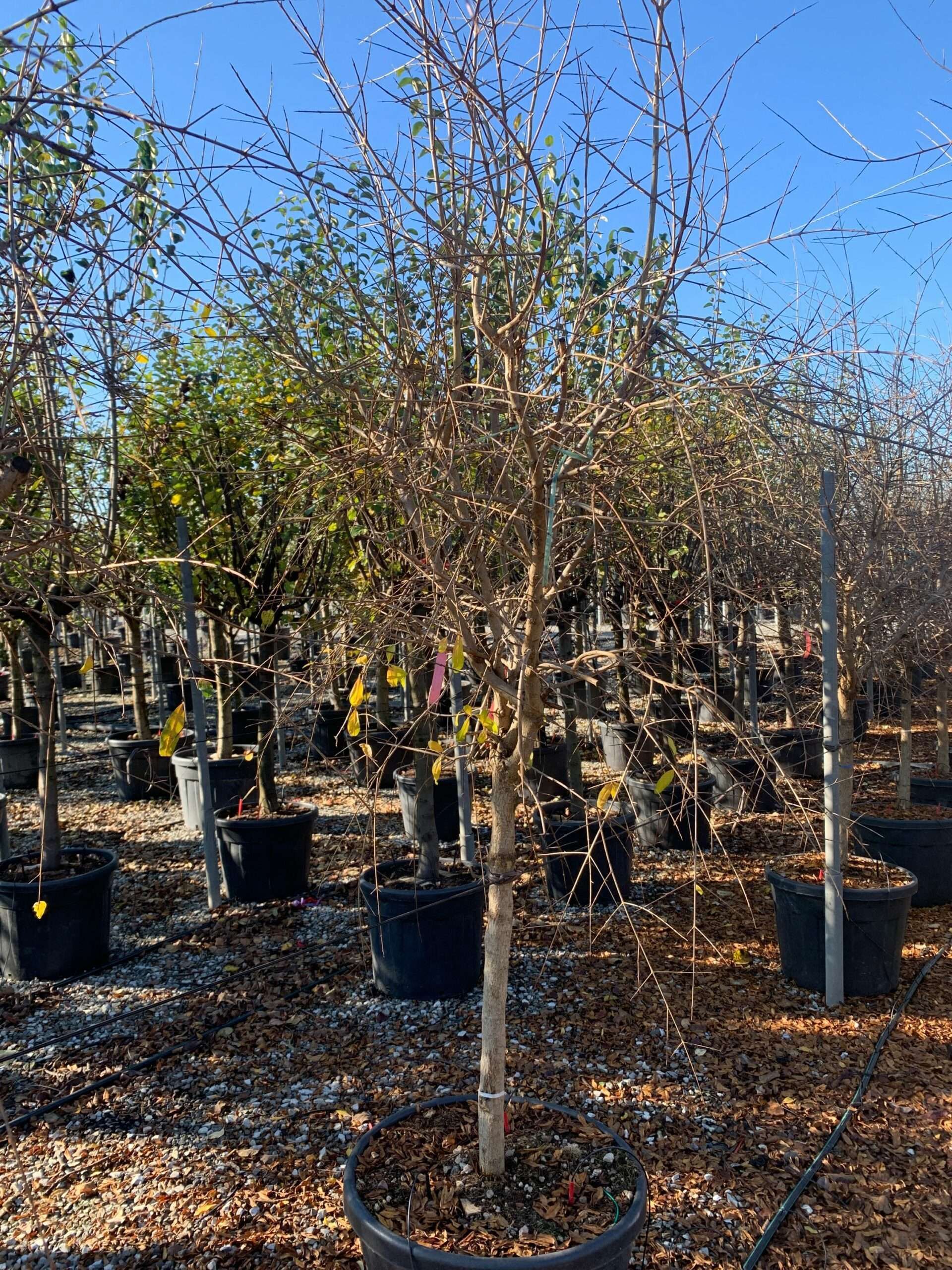 1637747748 scaled 14f2ea87