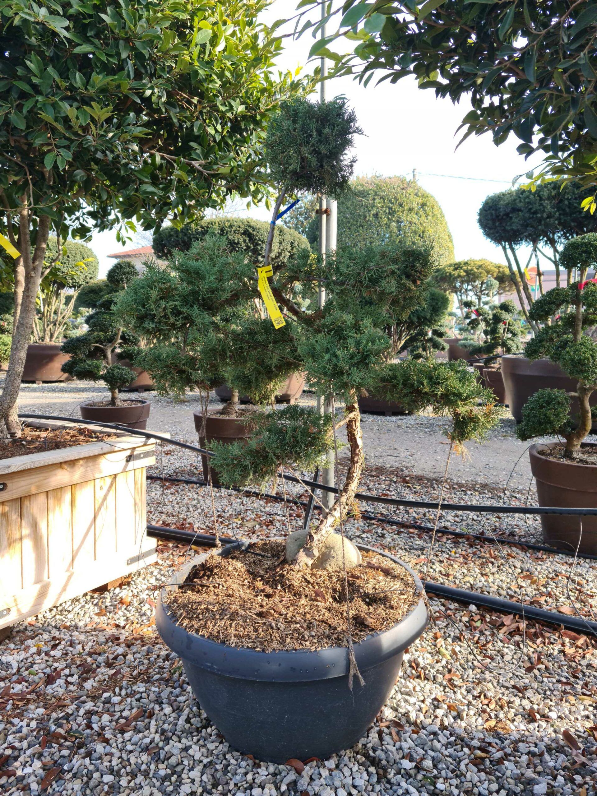 1639563769 scaled 1401895f