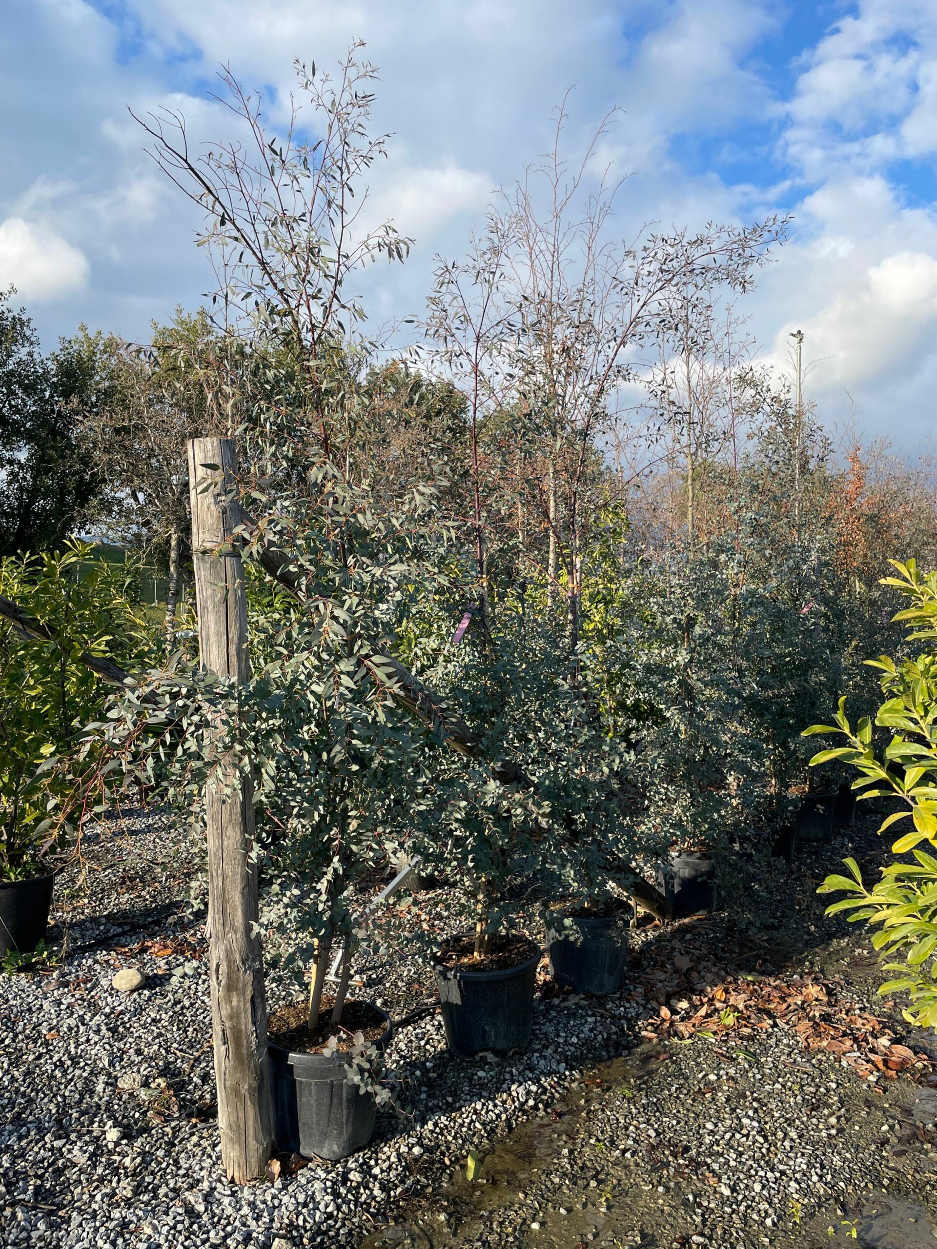 1642687436 scaled 14e7f780