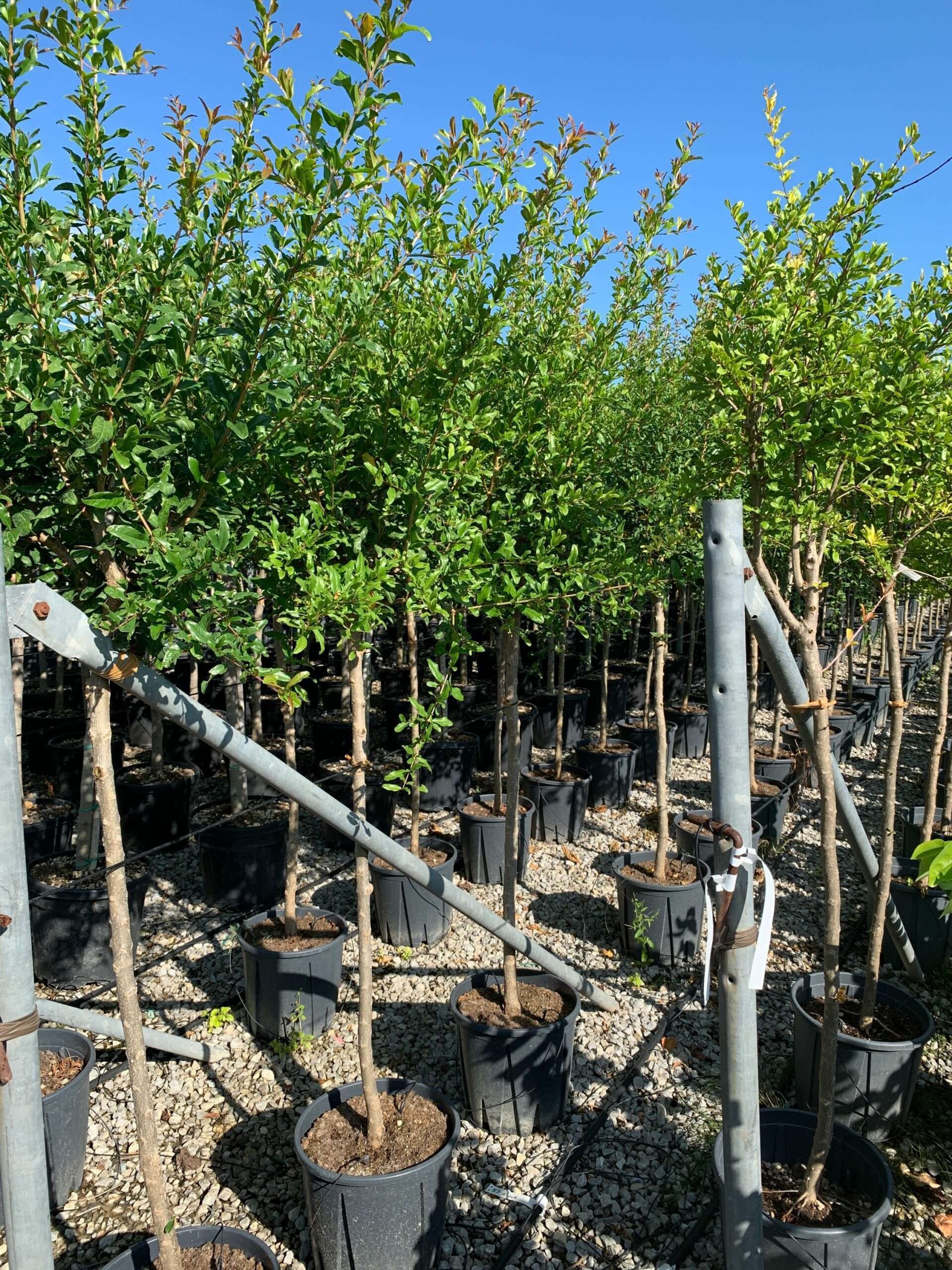 1662105230 scaled 14b94a11