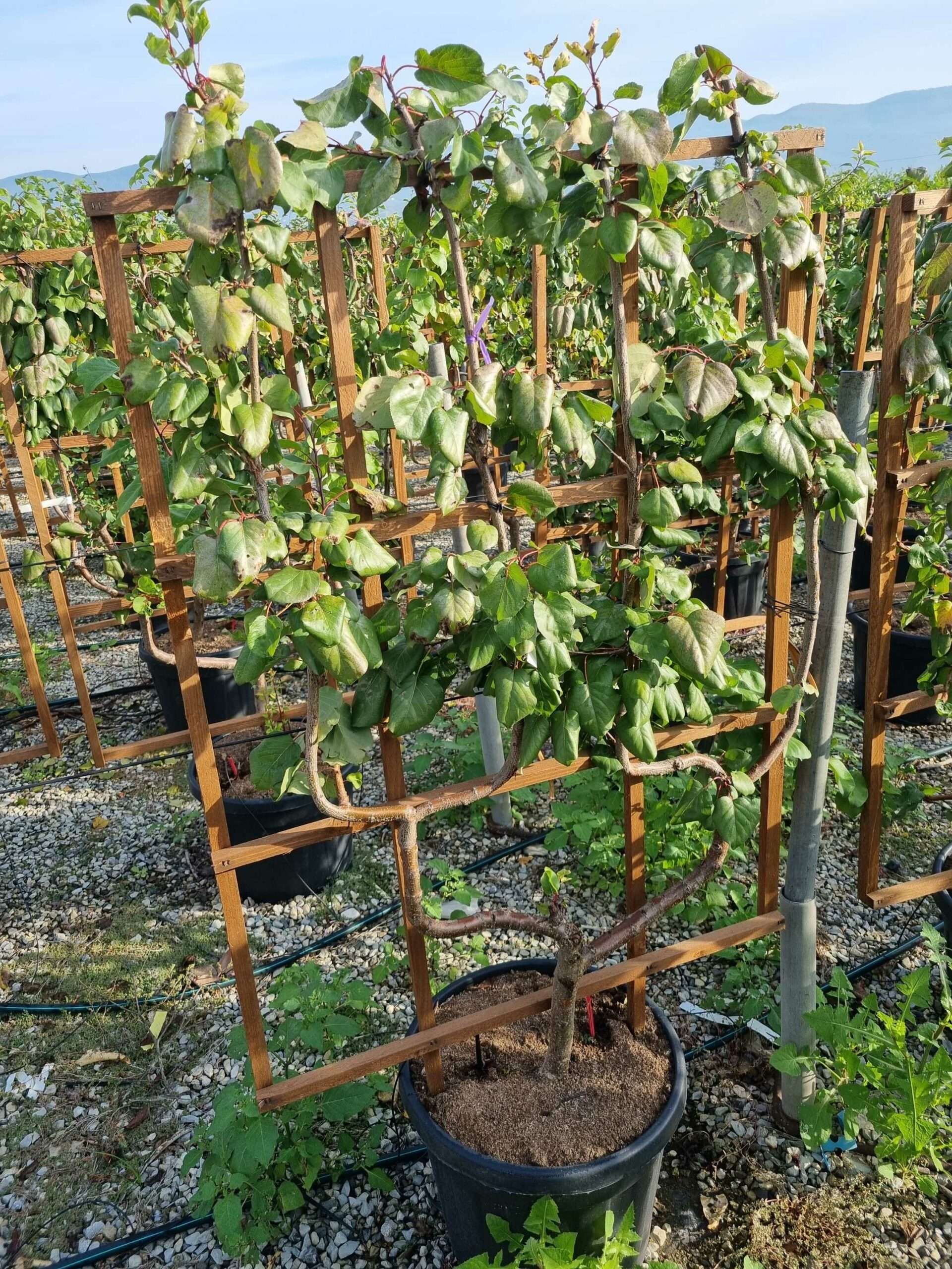 1665559592 scaled 1405731d