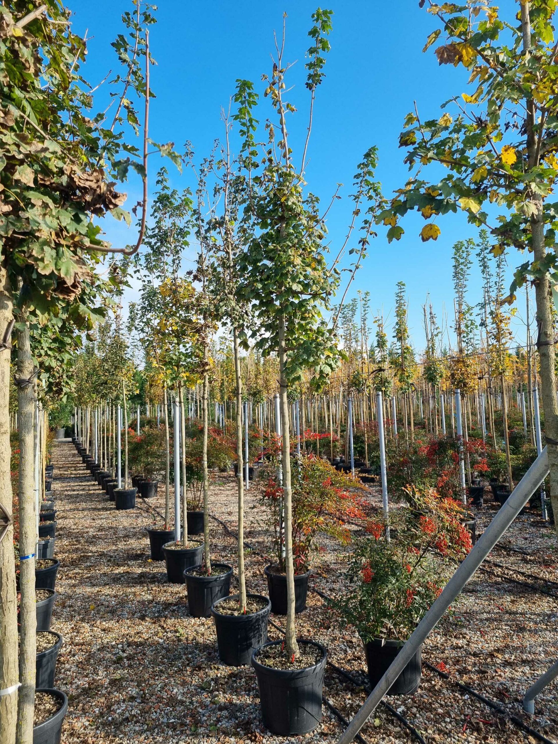 1668431821 scaled 1485bcf1