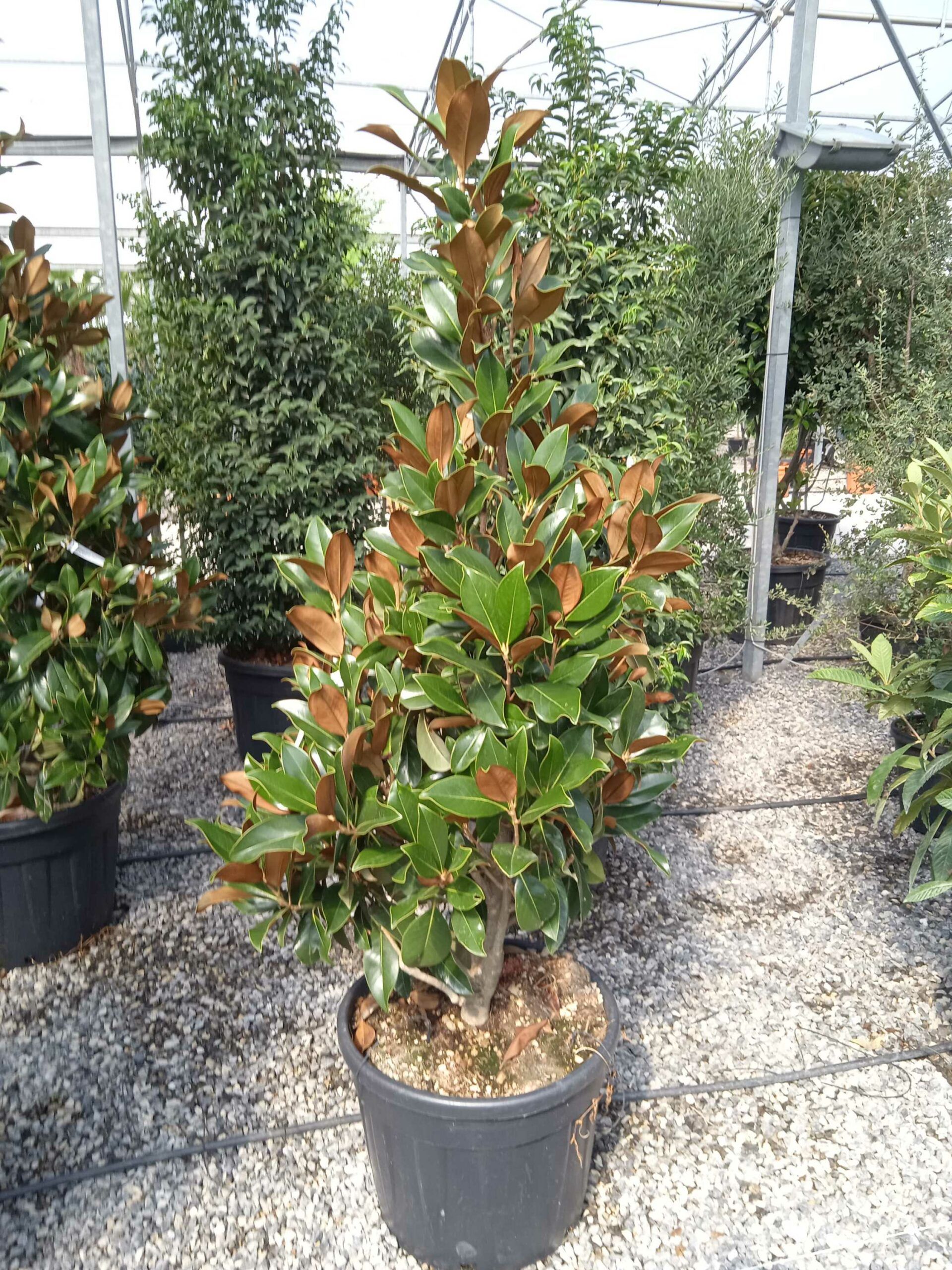 1662368990 scaled 153e4afd