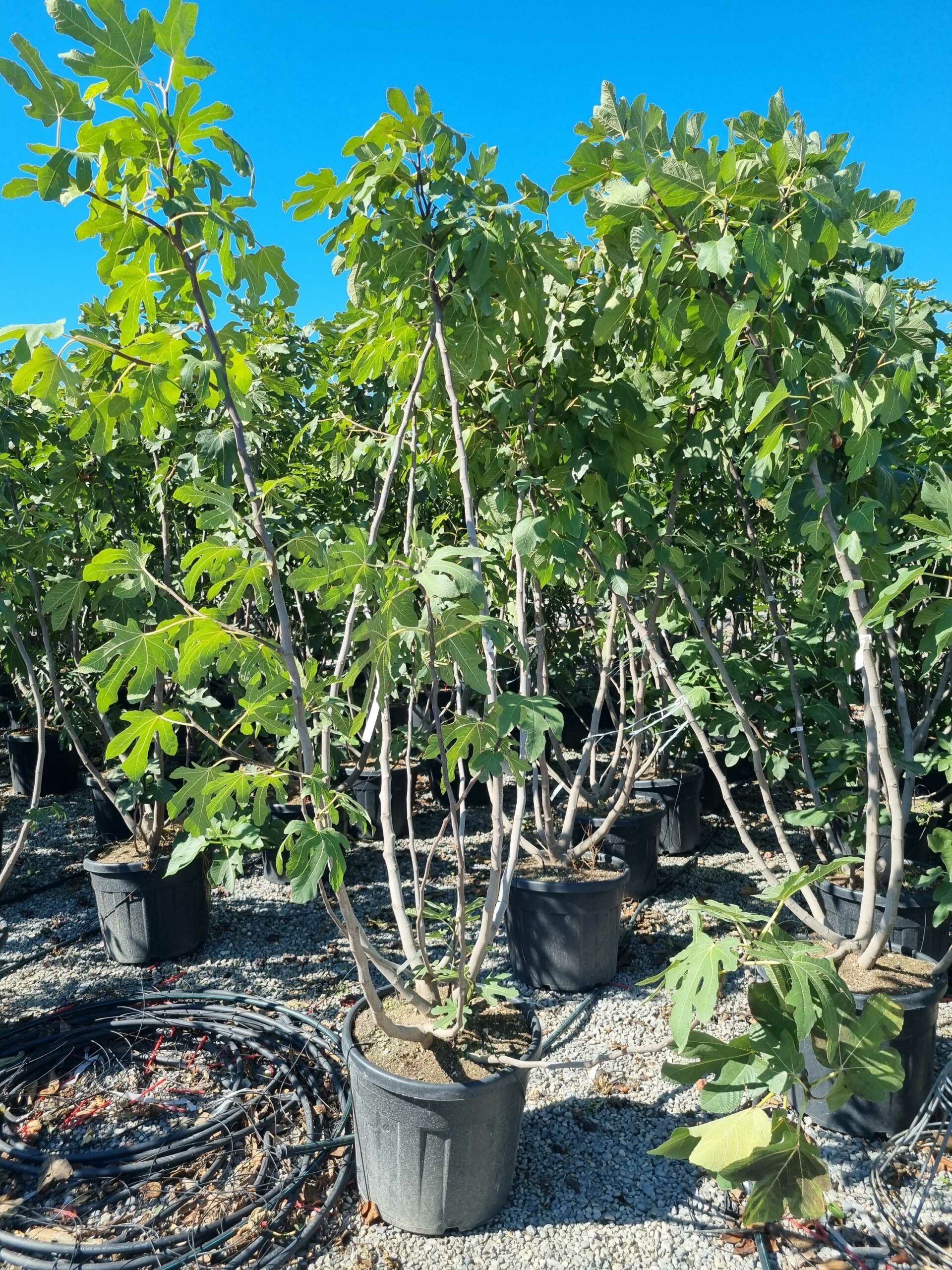 1663752436 scaled 15cd5e9c