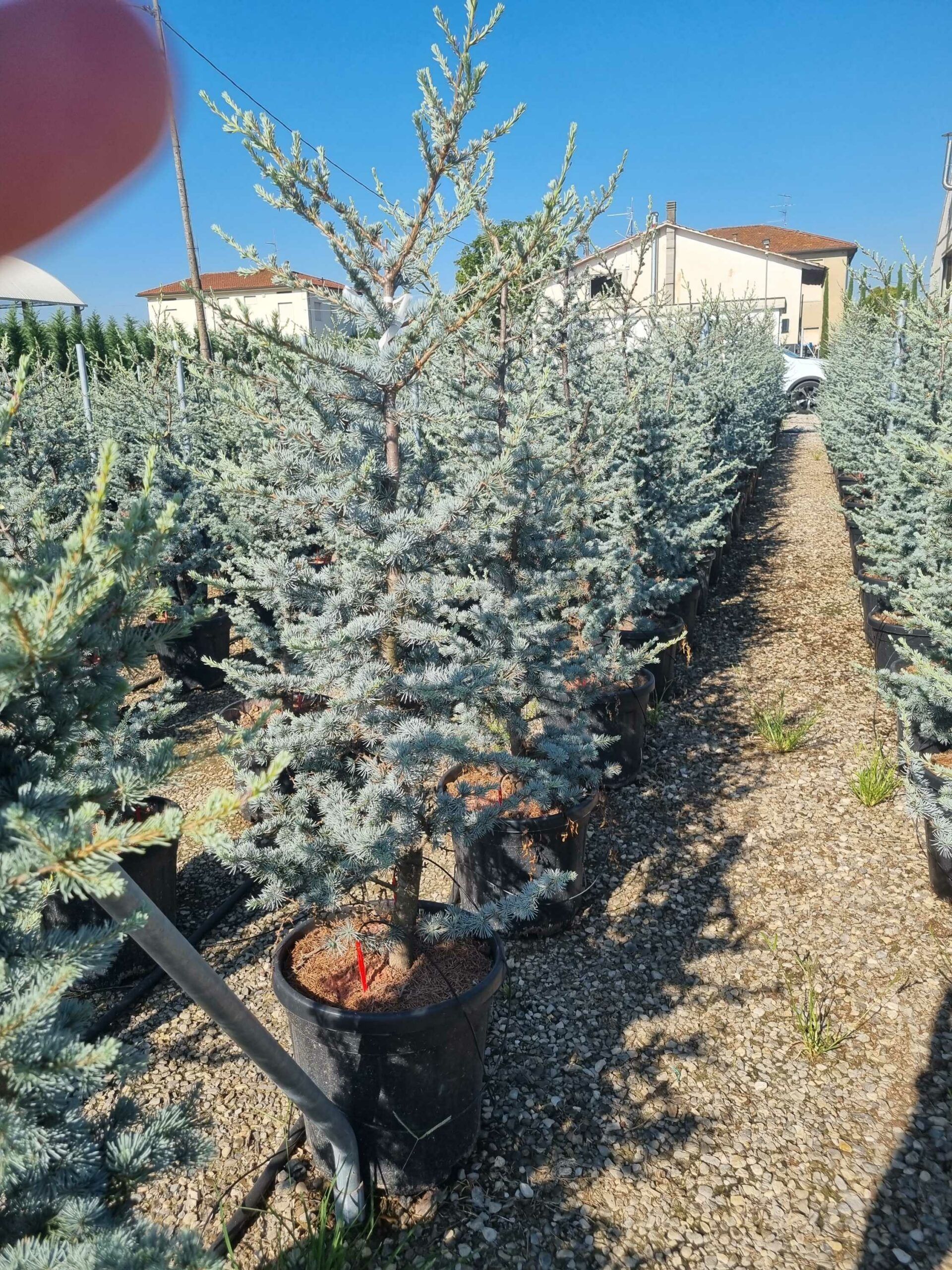 1692690570 scaled 15c1bba7