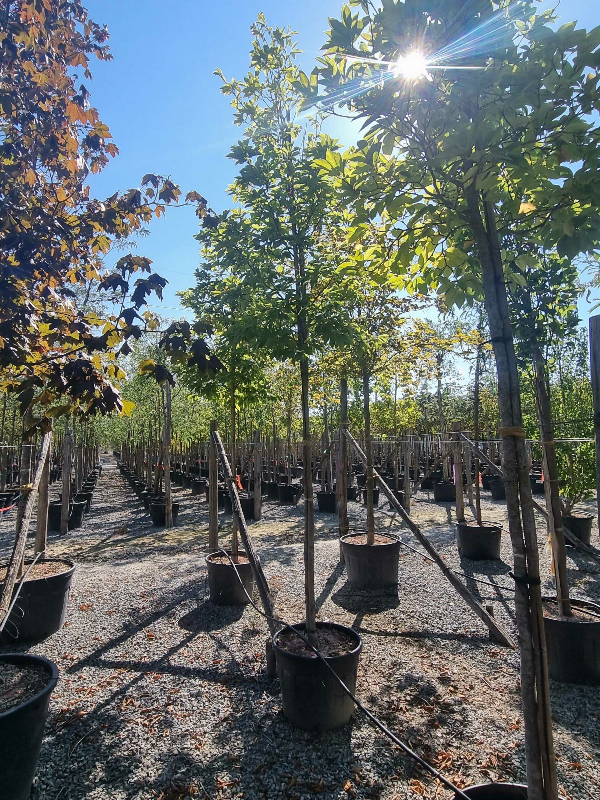 1692713851 scaled 15e45d80