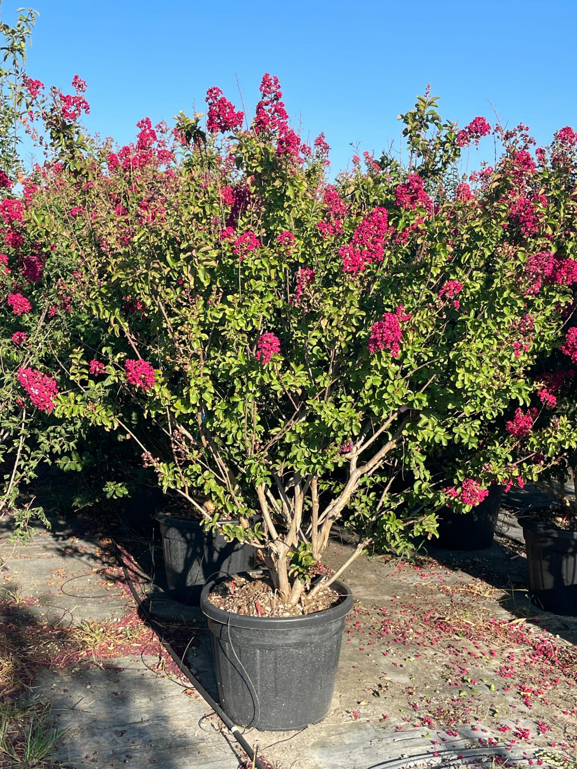 1692772232 scaled 15bd4857