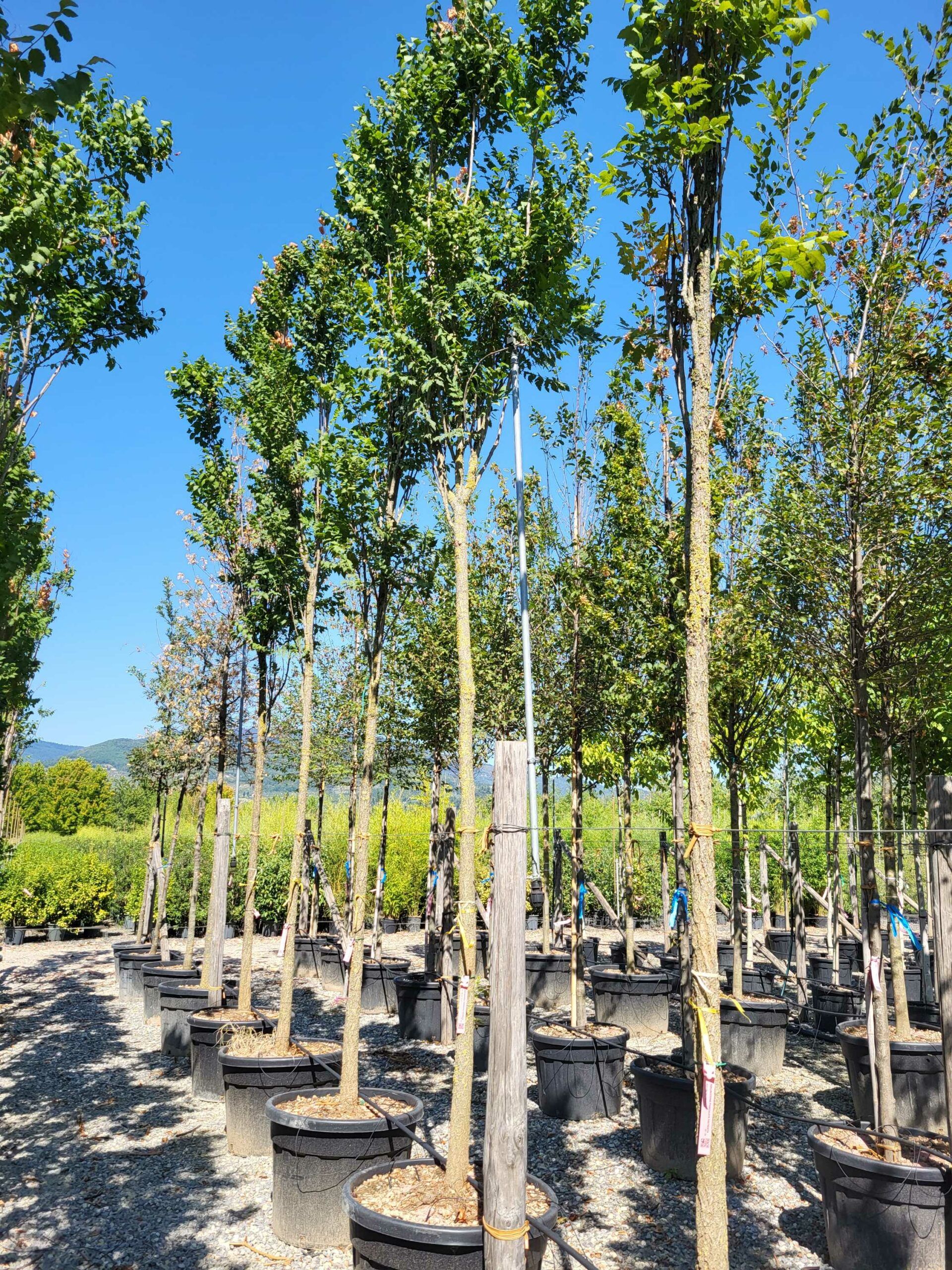 1692796466 scaled 155b5d19