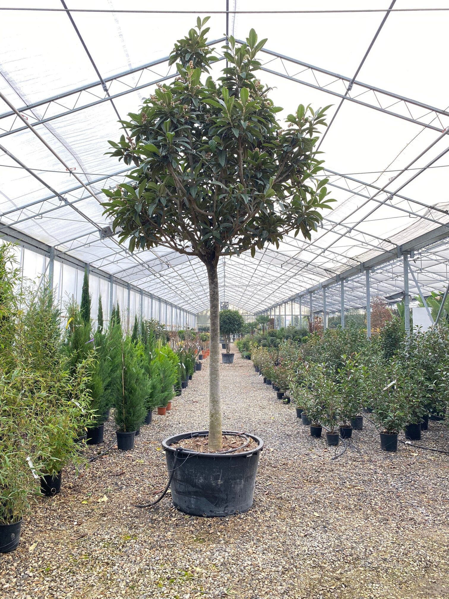 1608560444 rotated 1689dd6b