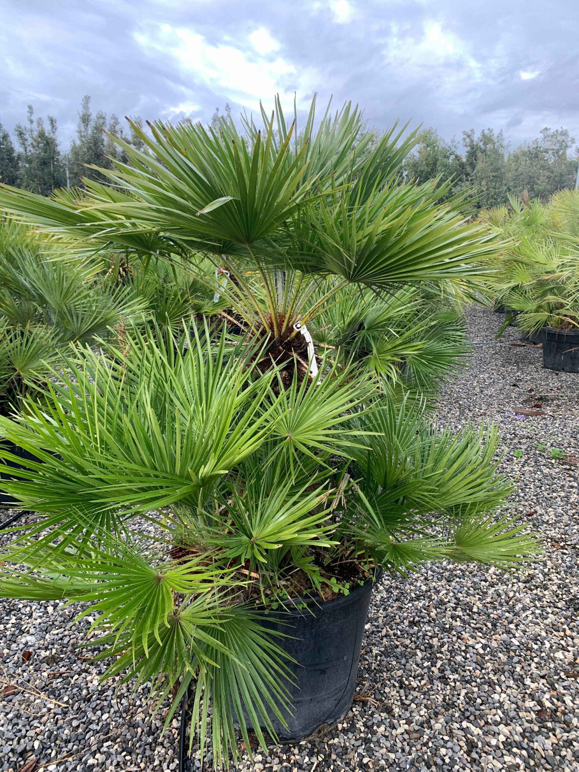 1635925261 scaled 16b00e9d