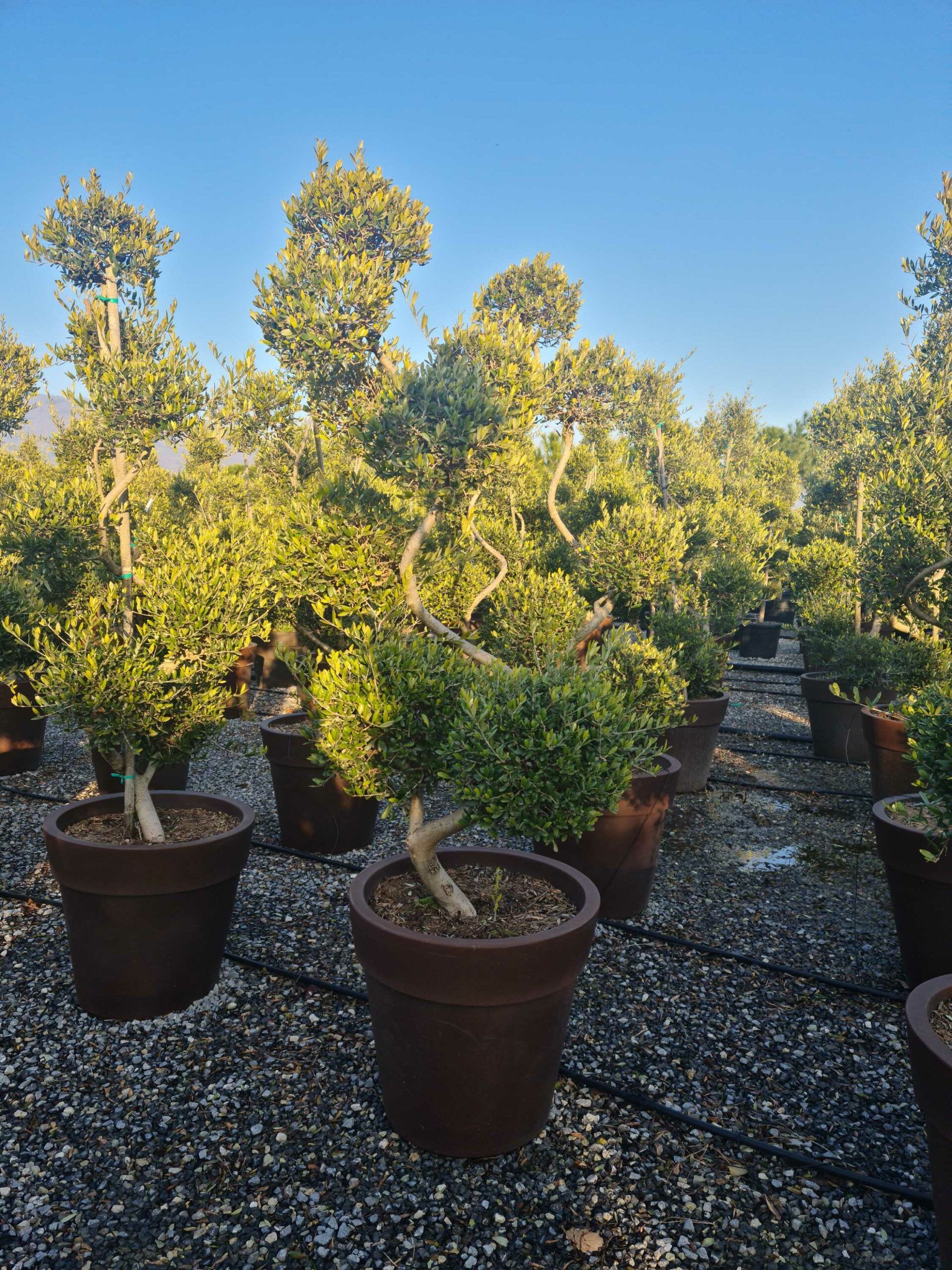 1642776637 scaled 16ba92fd