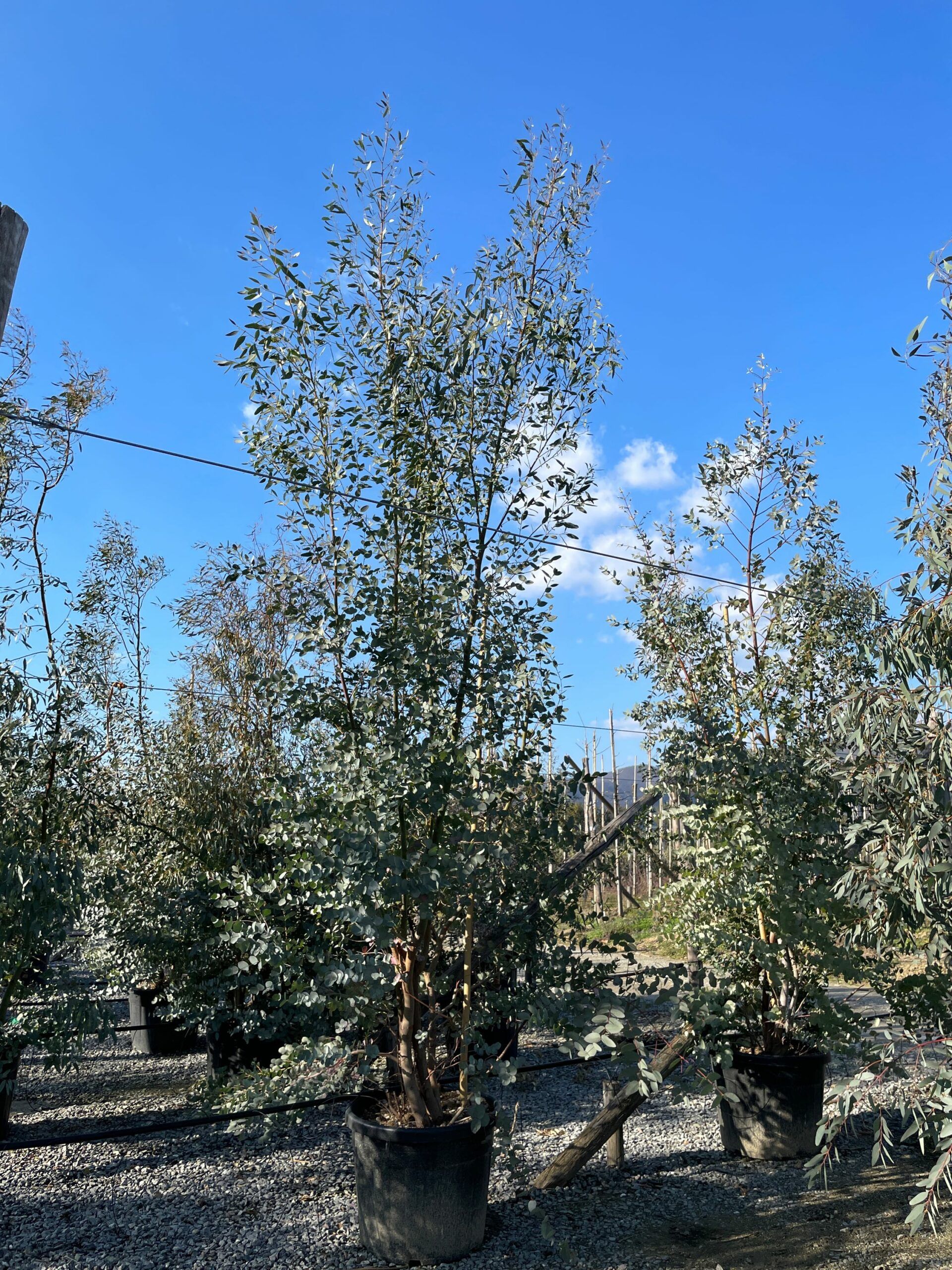 1644242087 scaled 1698d6d1