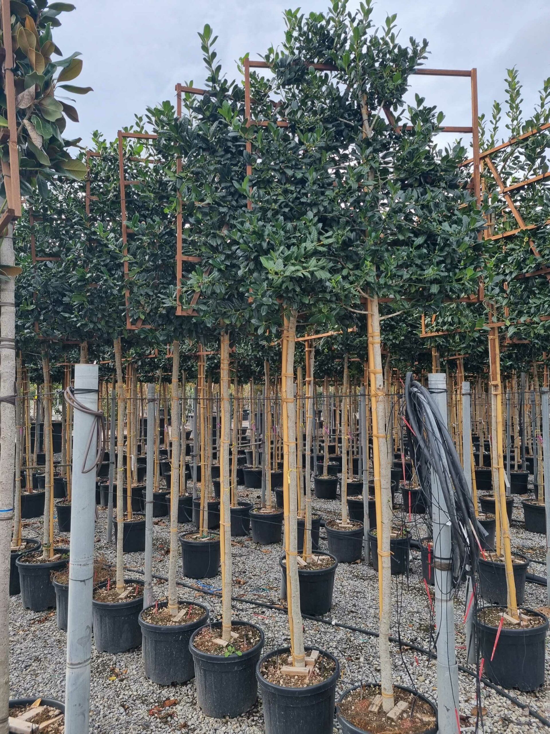 1664463176 scaled 162ab052