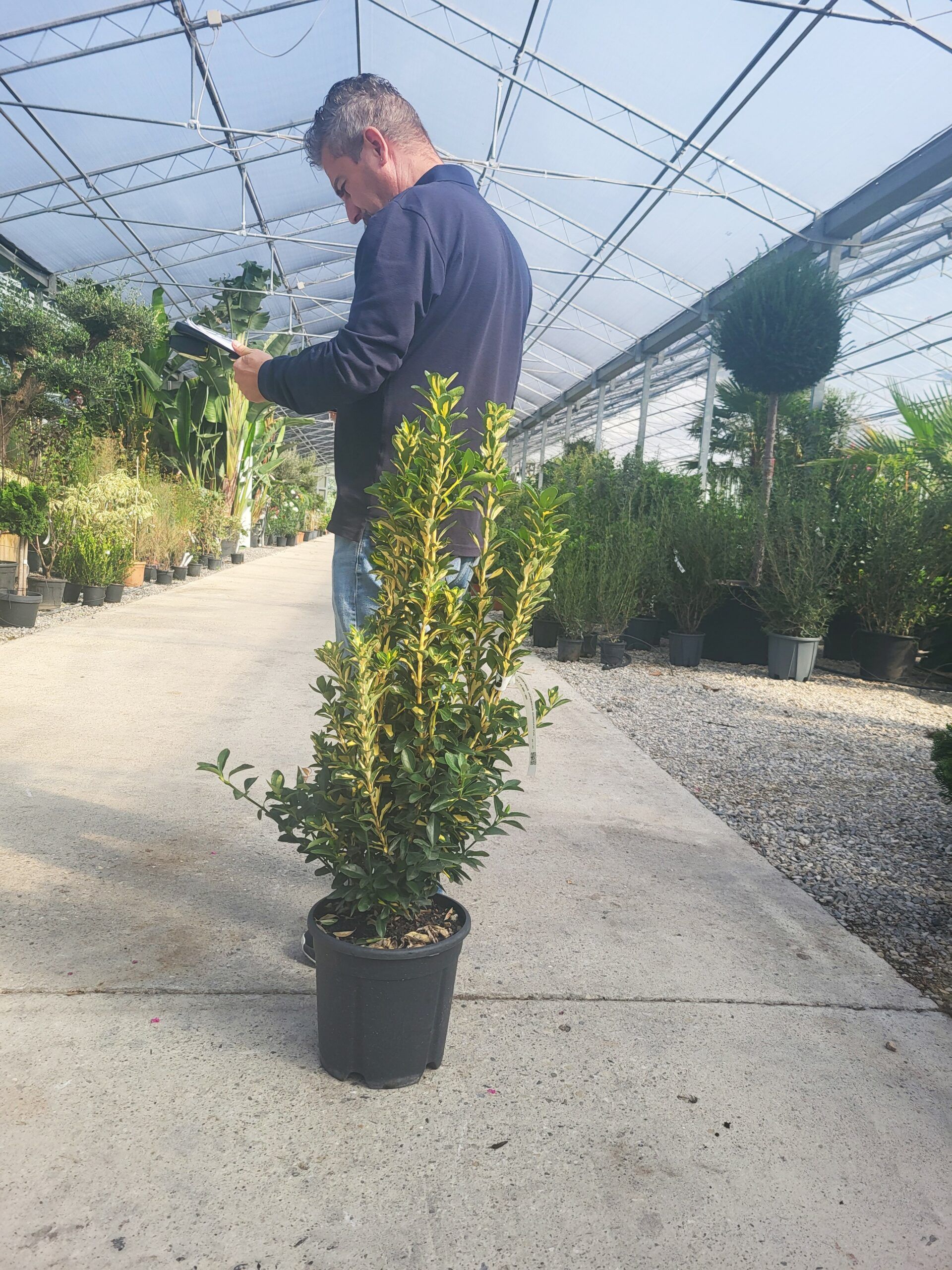 1696397831 scaled 16a4eced