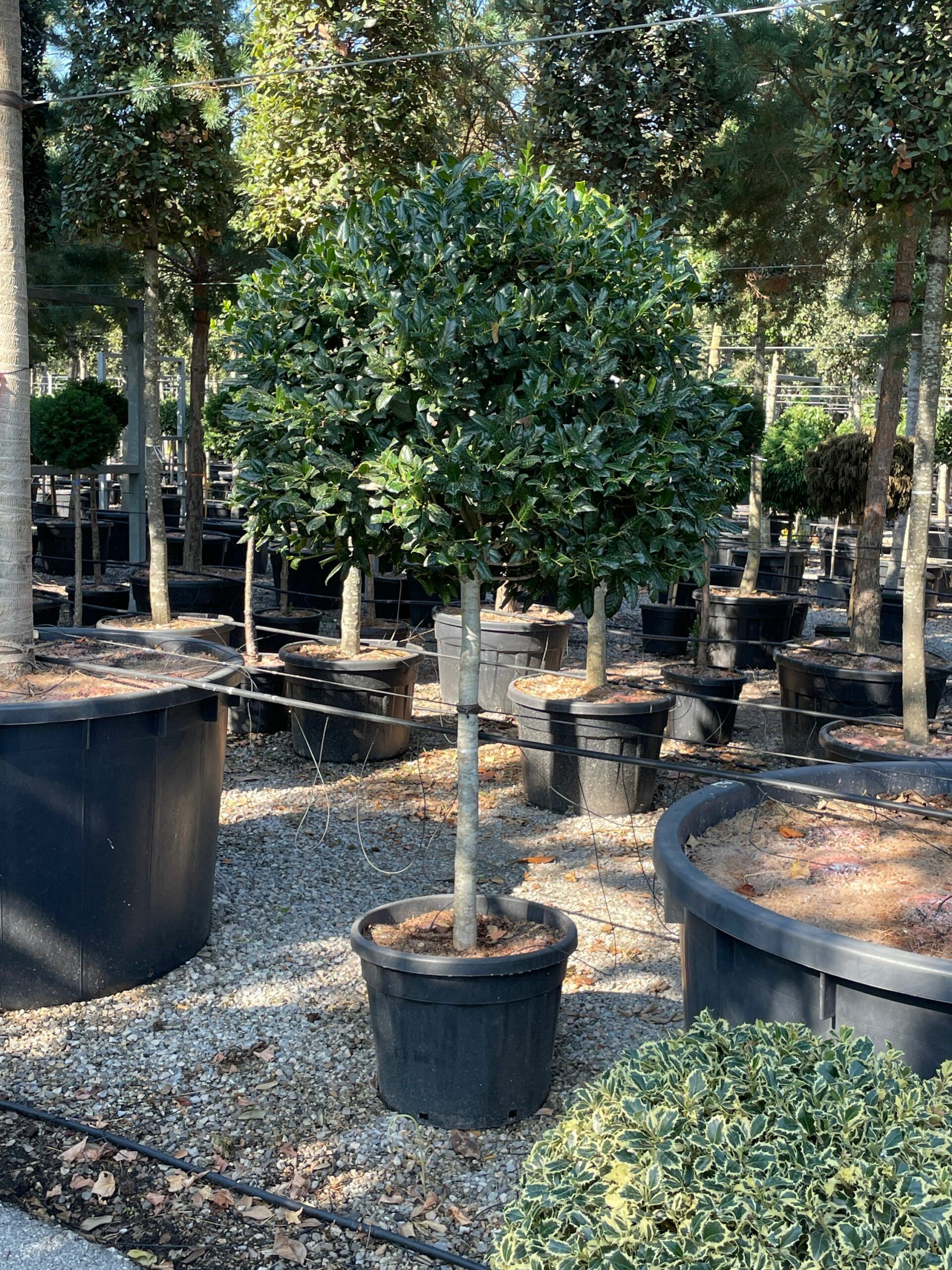 1631002054 scaled 17ca04ca