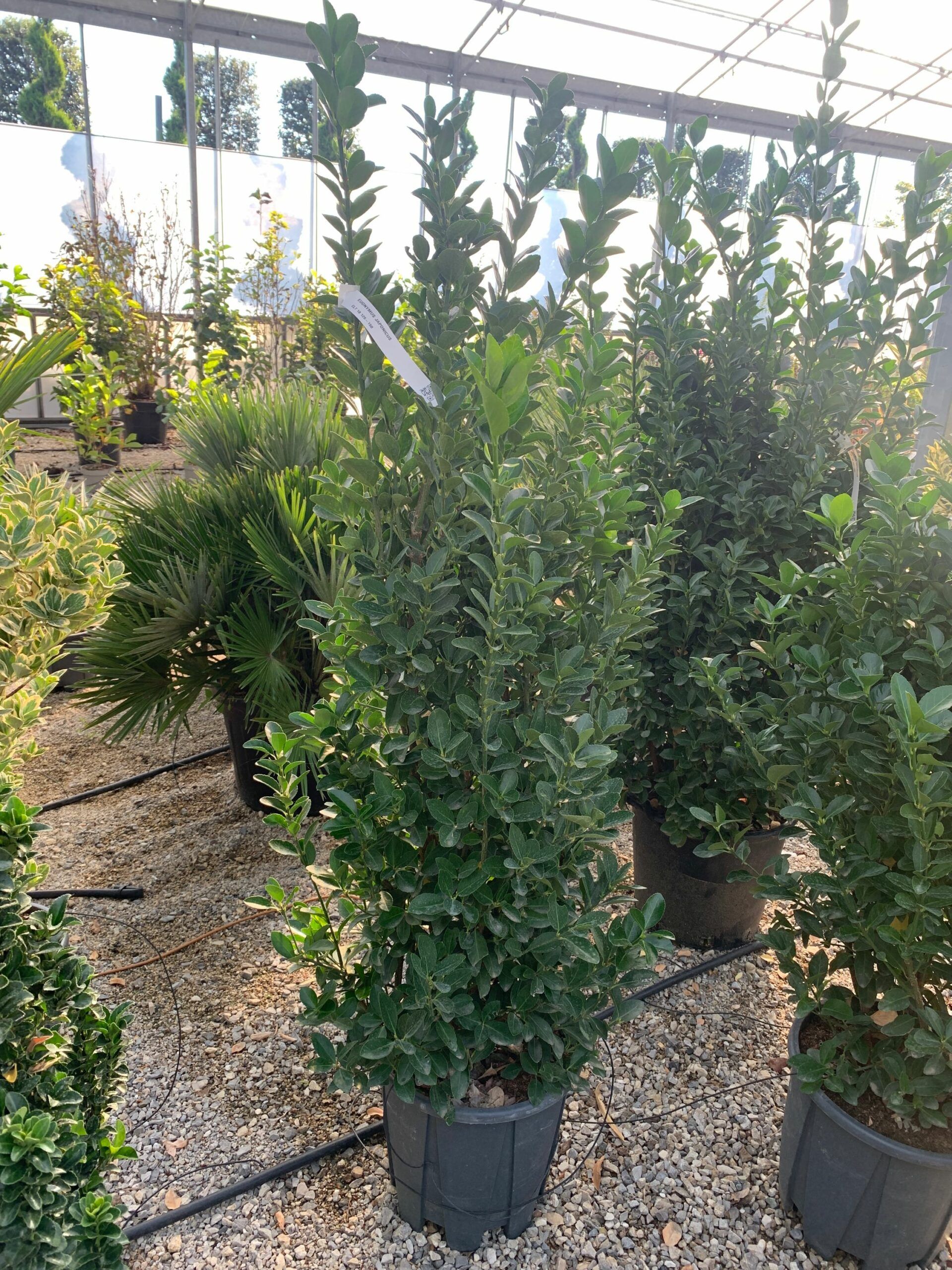 1634632971 scaled 1771447a