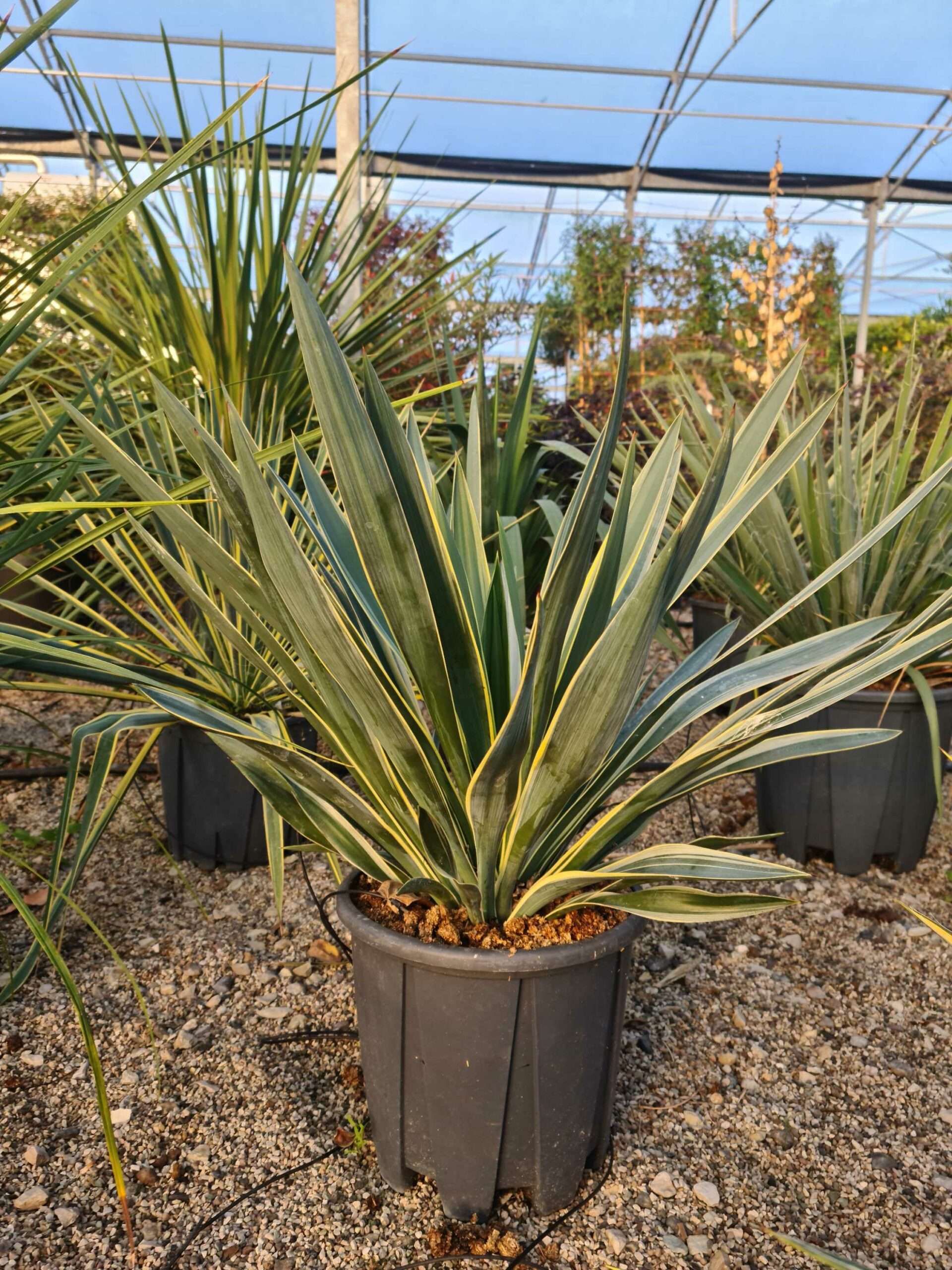 1639468125 scaled 17545519