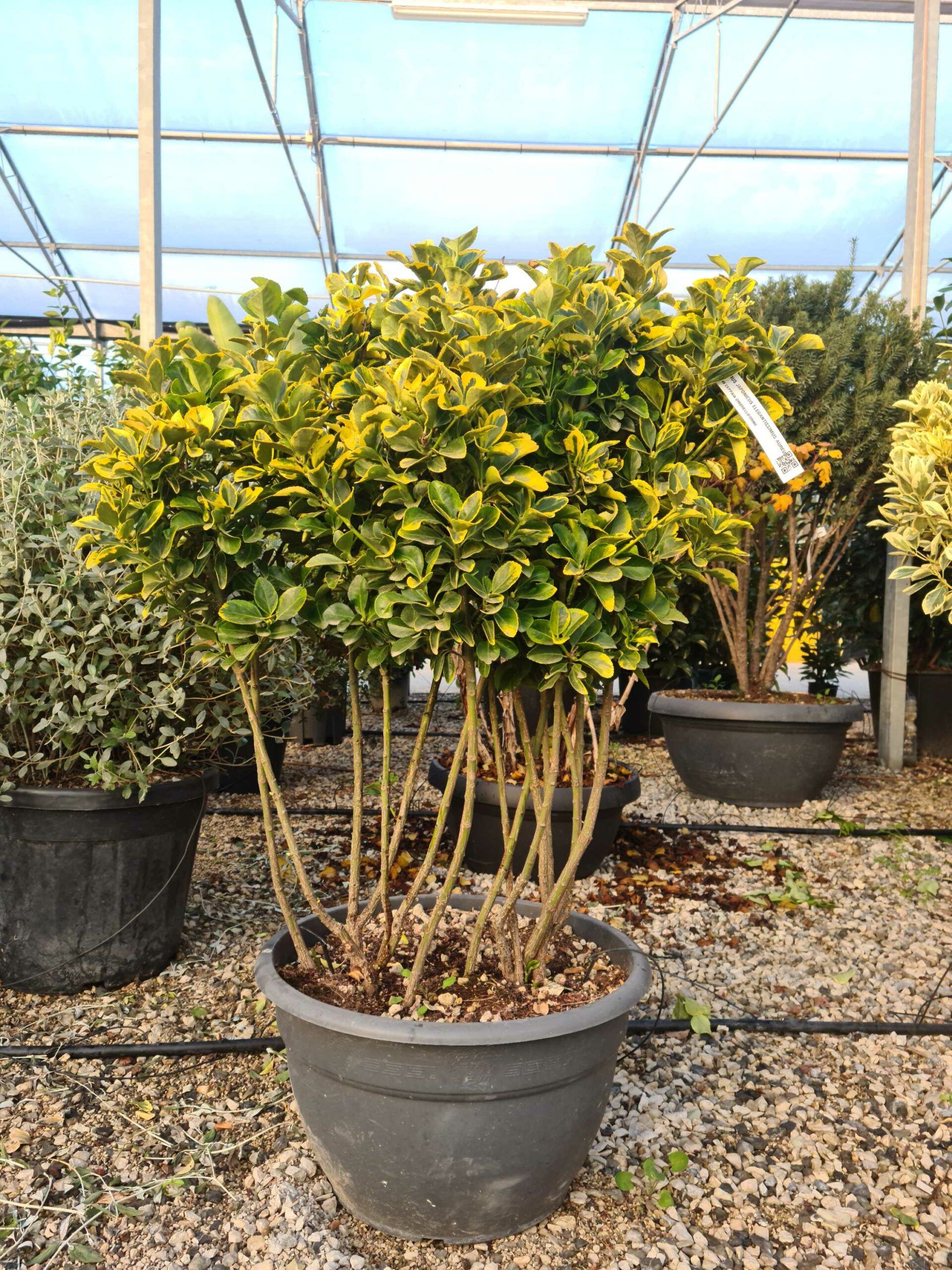 1639469764 scaled 176e8722