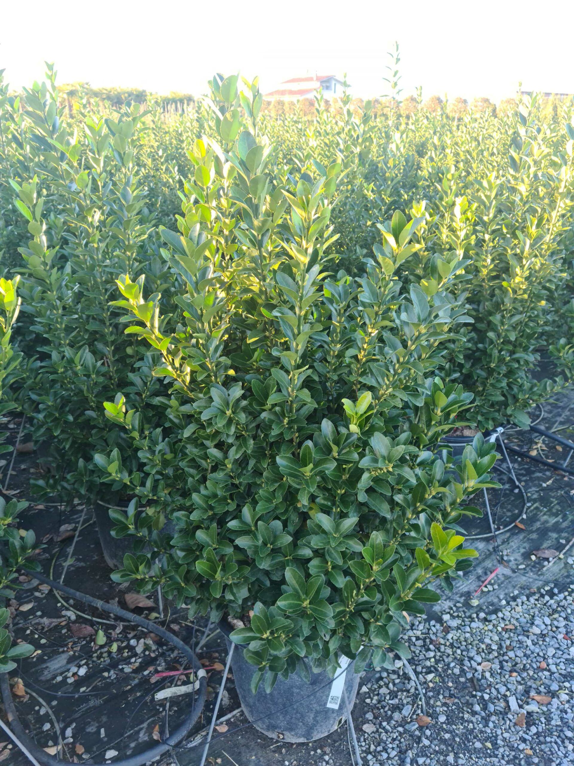 1639664895 scaled 17e8c782