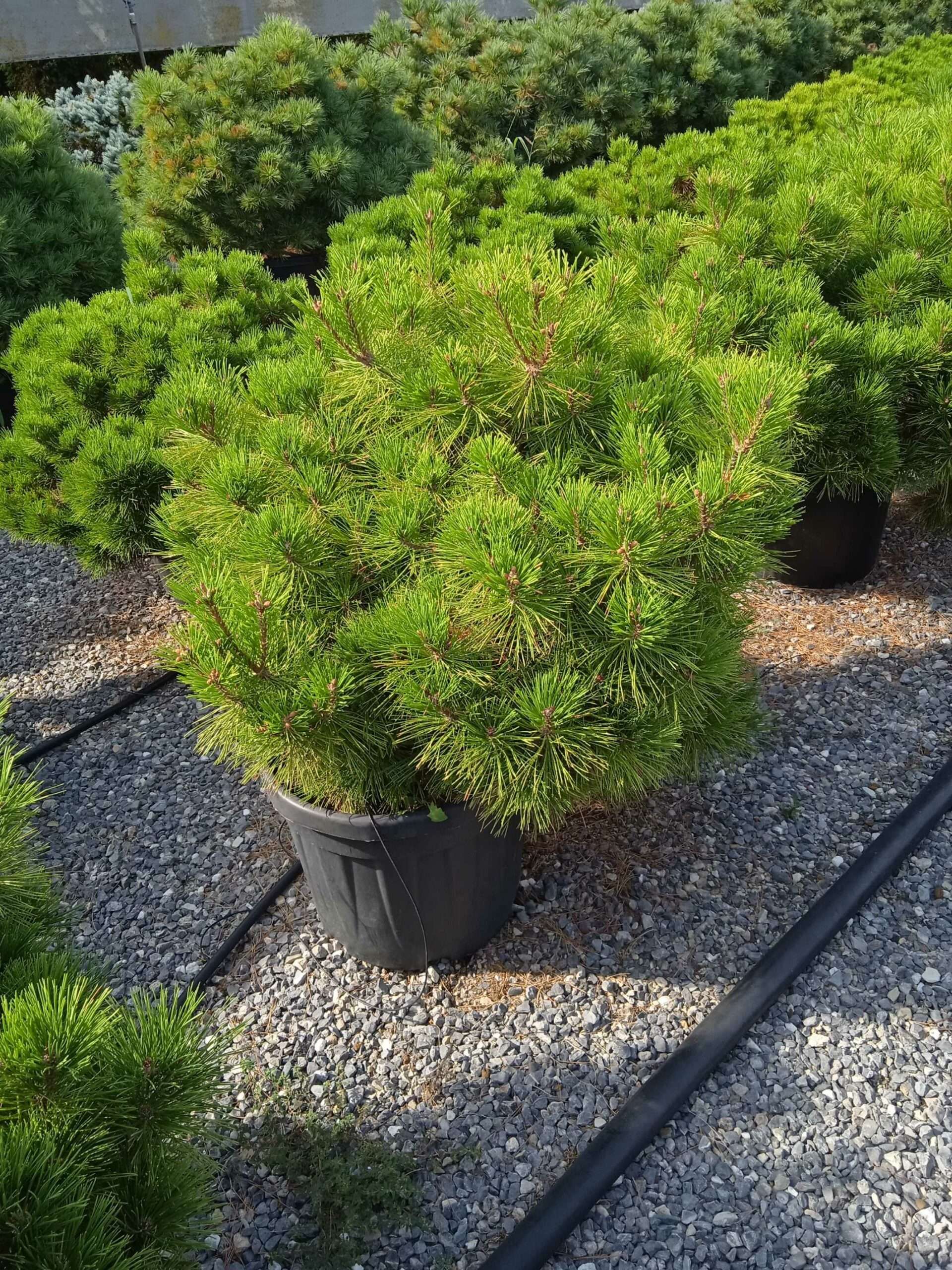 1662128347 scaled 174dcde7