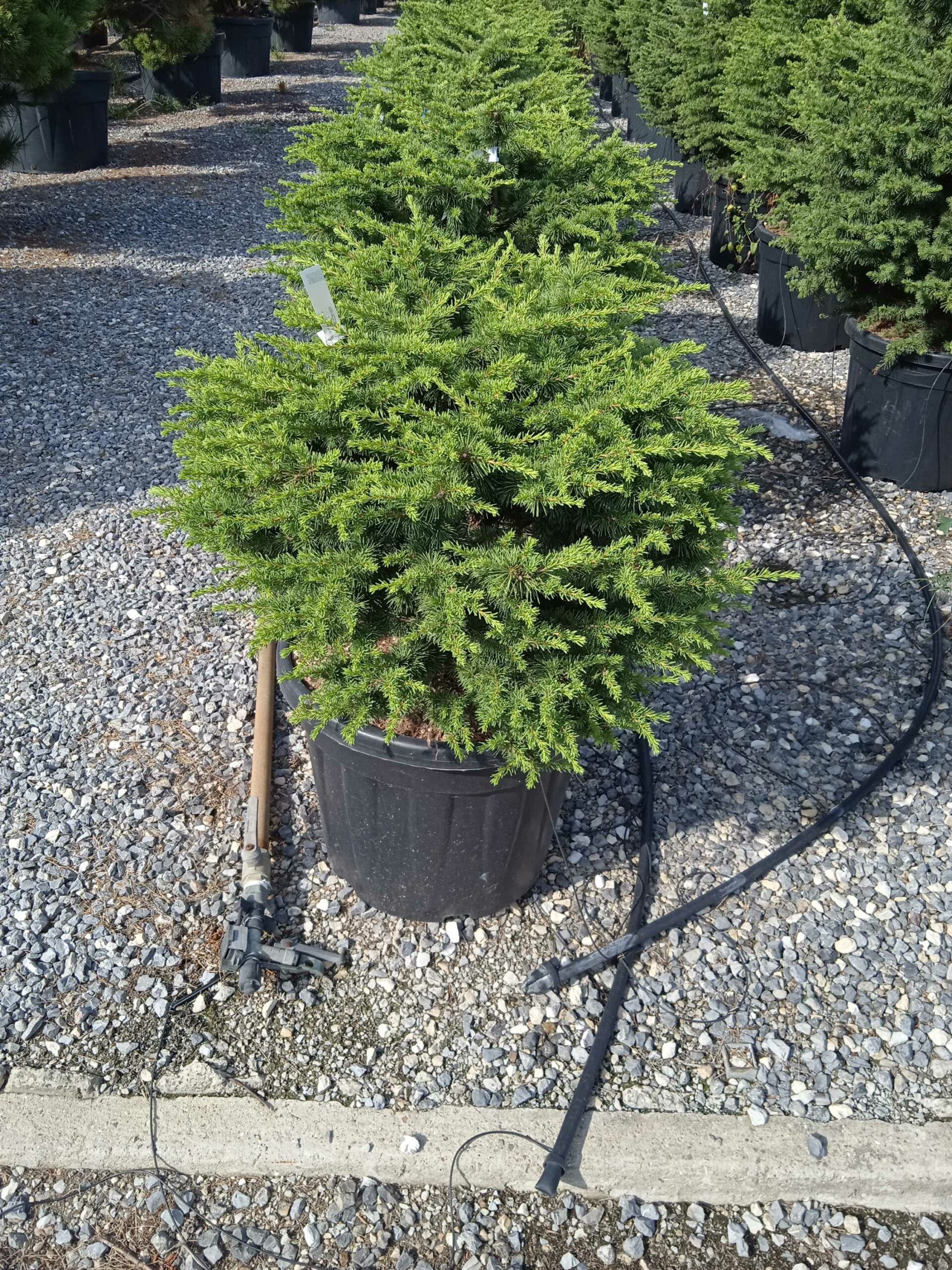 1662128432 scaled 17422c90