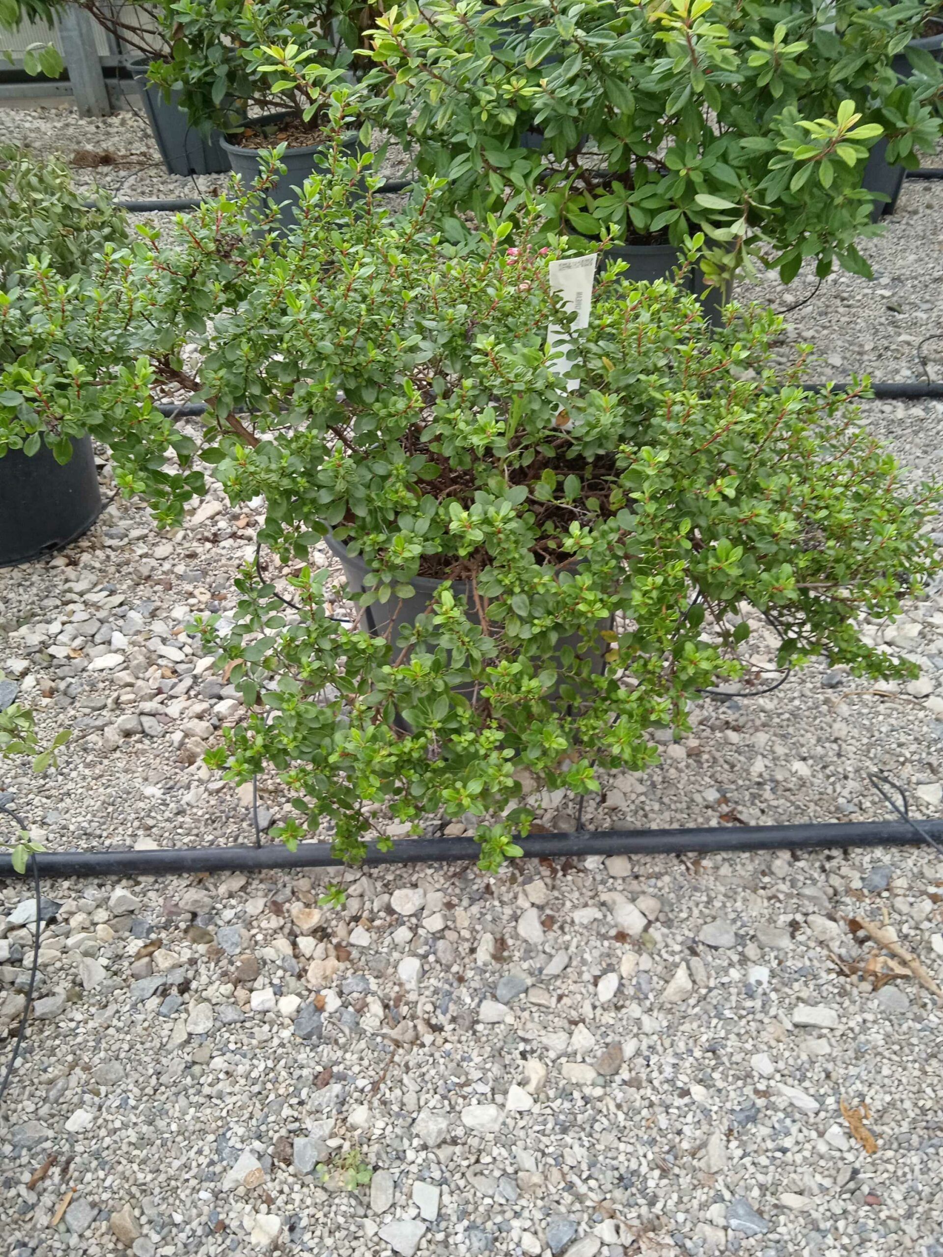 1662189070 scaled 17e942f4