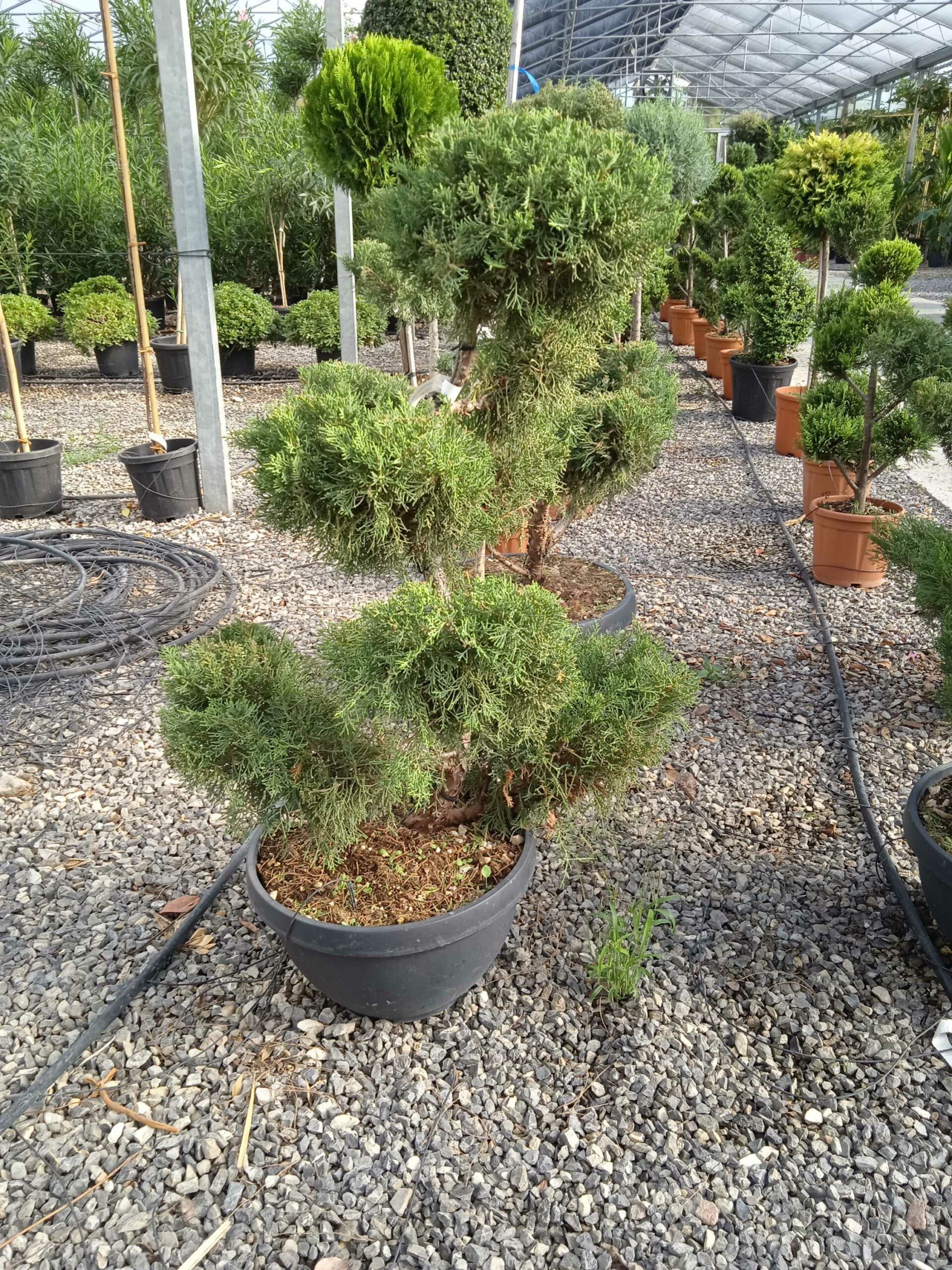 1662448371 scaled 17969298