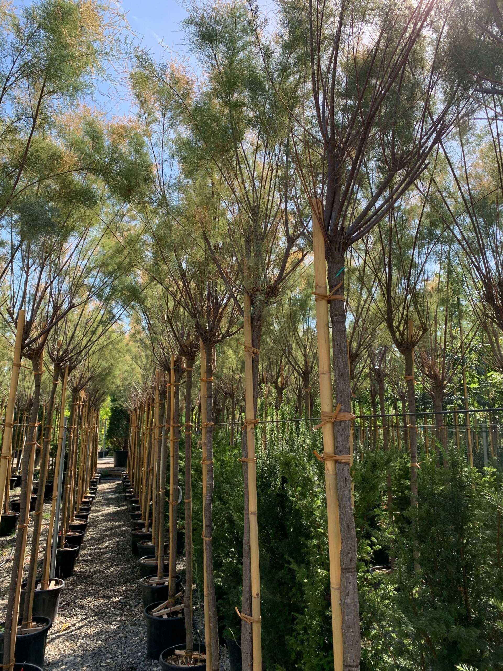 1662455095 scaled 17718568