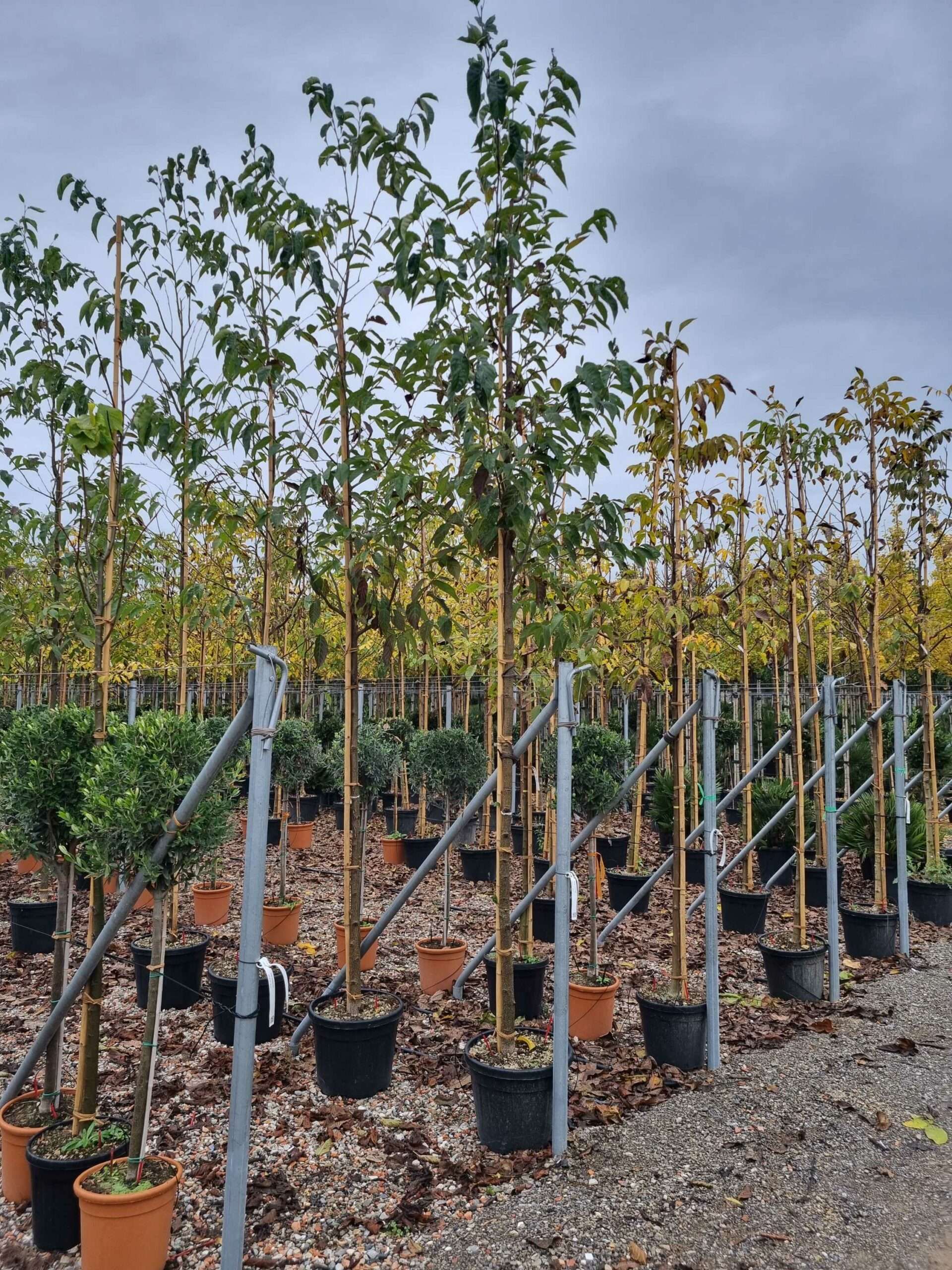 1668499125 scaled 17f22764