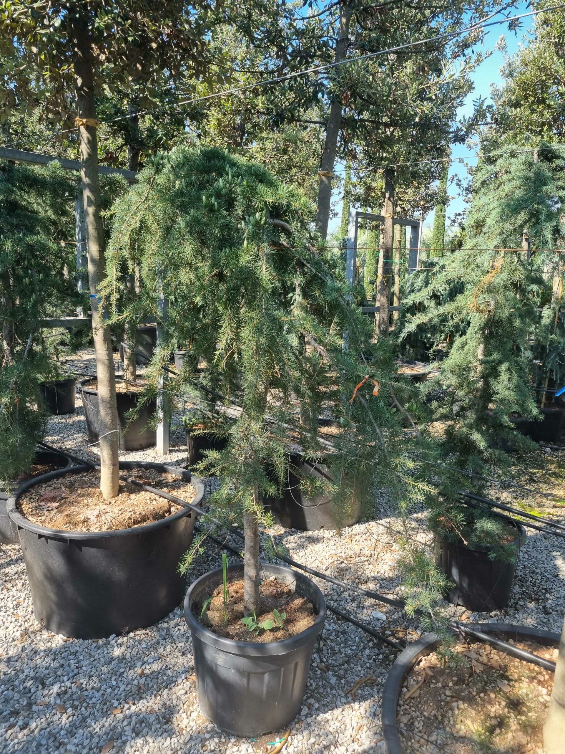 1692606688 scaled 17af86fb